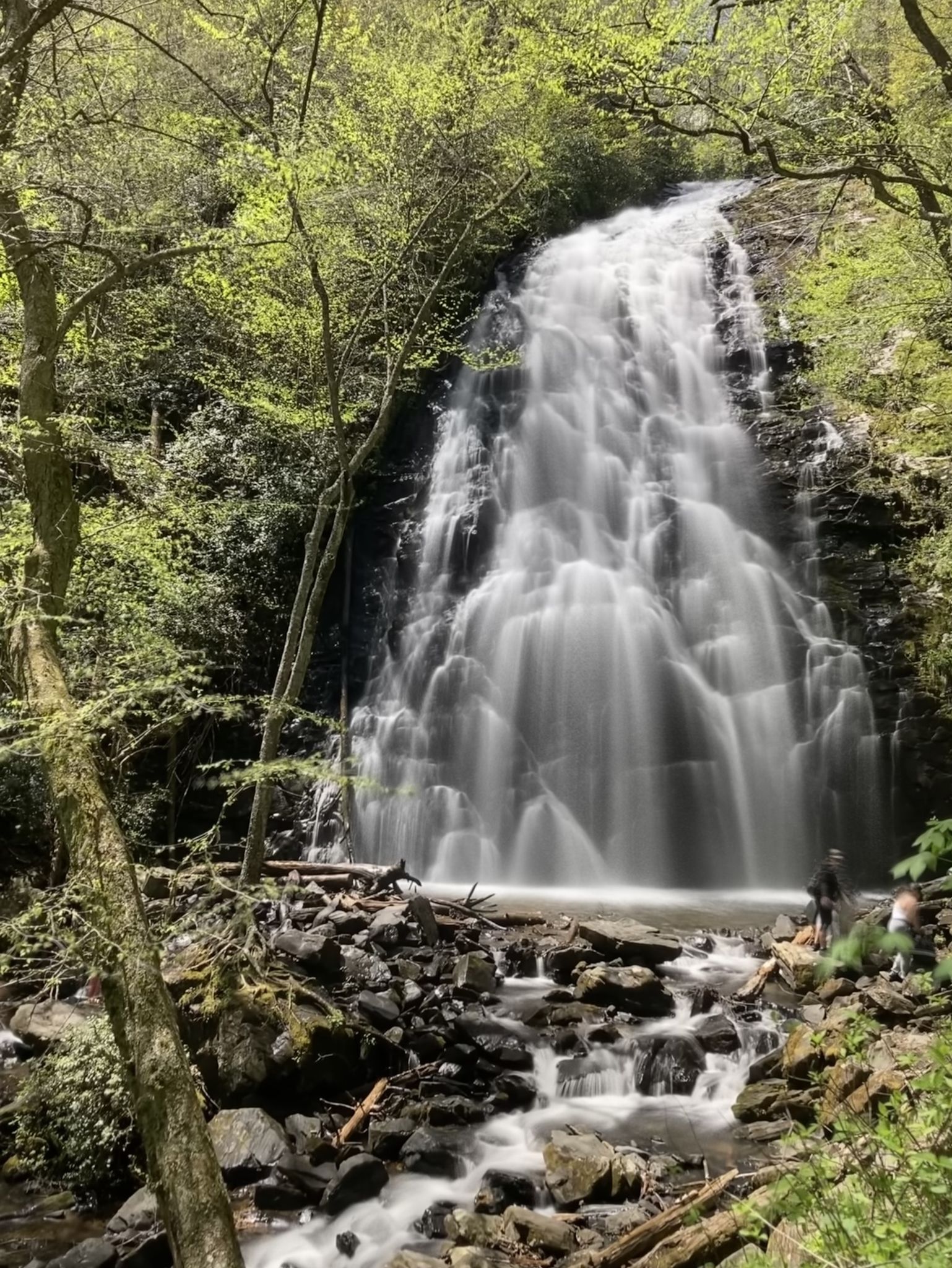Wide, cascading waterfall with blurred water and lush green forest. - Crabtree Falls Loop Trail