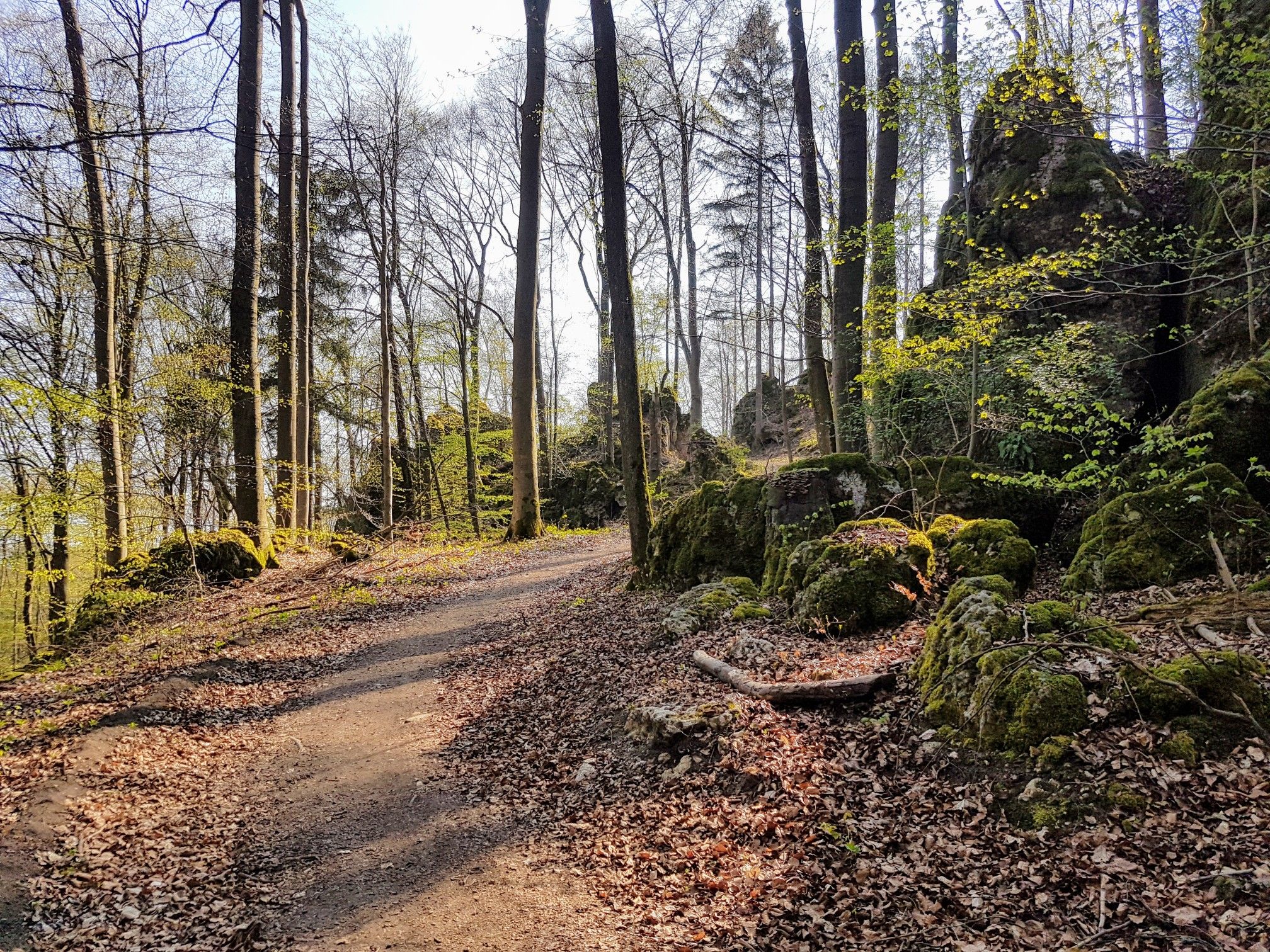 Herrlich zu biken