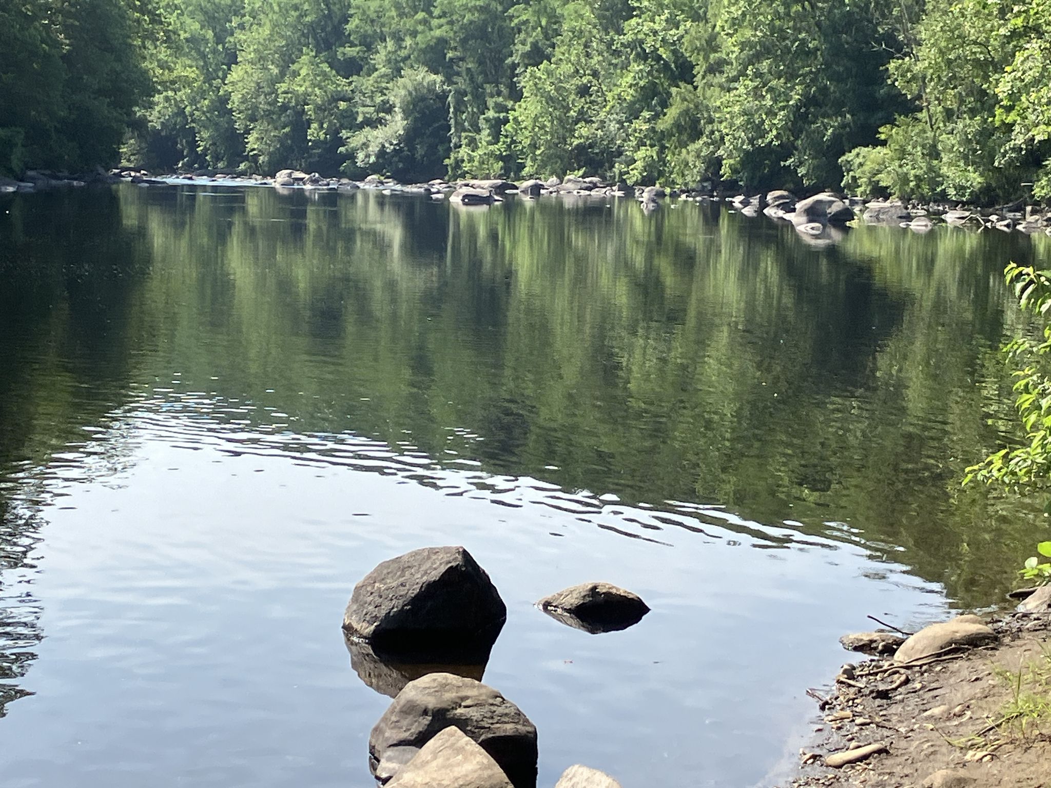 Calm river with large rocks in the foreground, surrounded by green trees. - View of the Farmington River – View of the Farmington River loop from Town of Farmington Open Space
