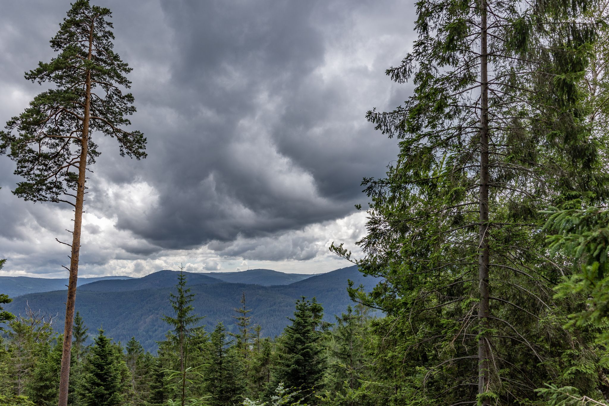 Aufziehende Regenwolken