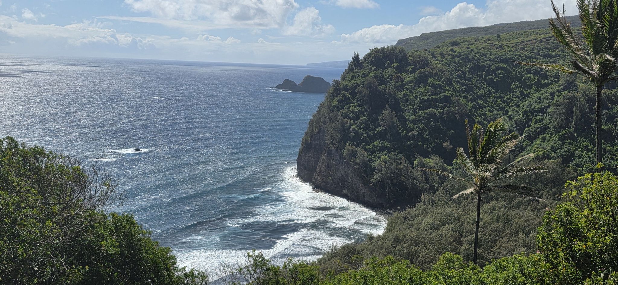 Panoramic view of ocean waves crashing against a green, rocky coastline. - Hāpuna Beach to Pololū Valley Lookout loop