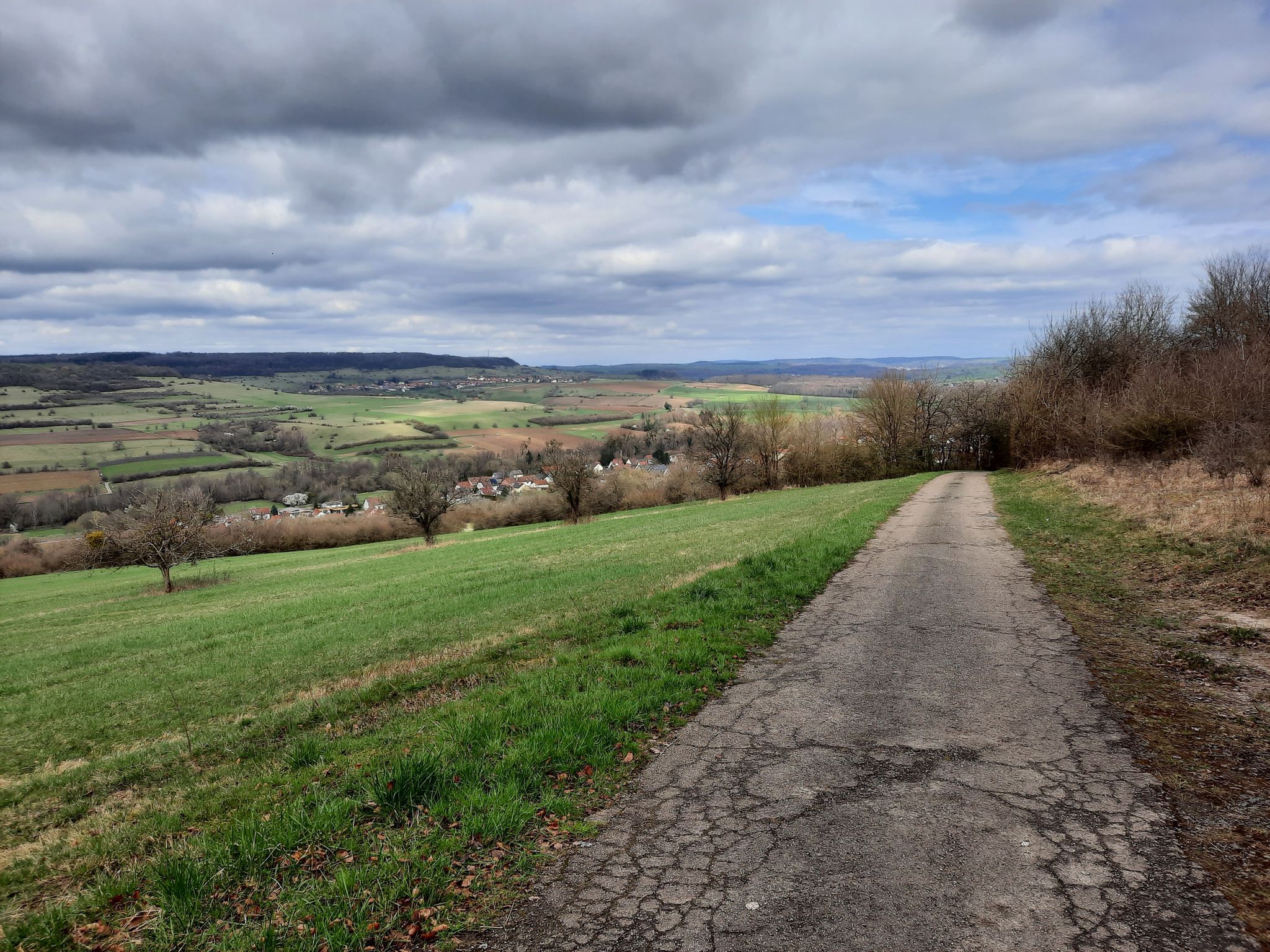 Panorama Hochfahrt nach Walsheim