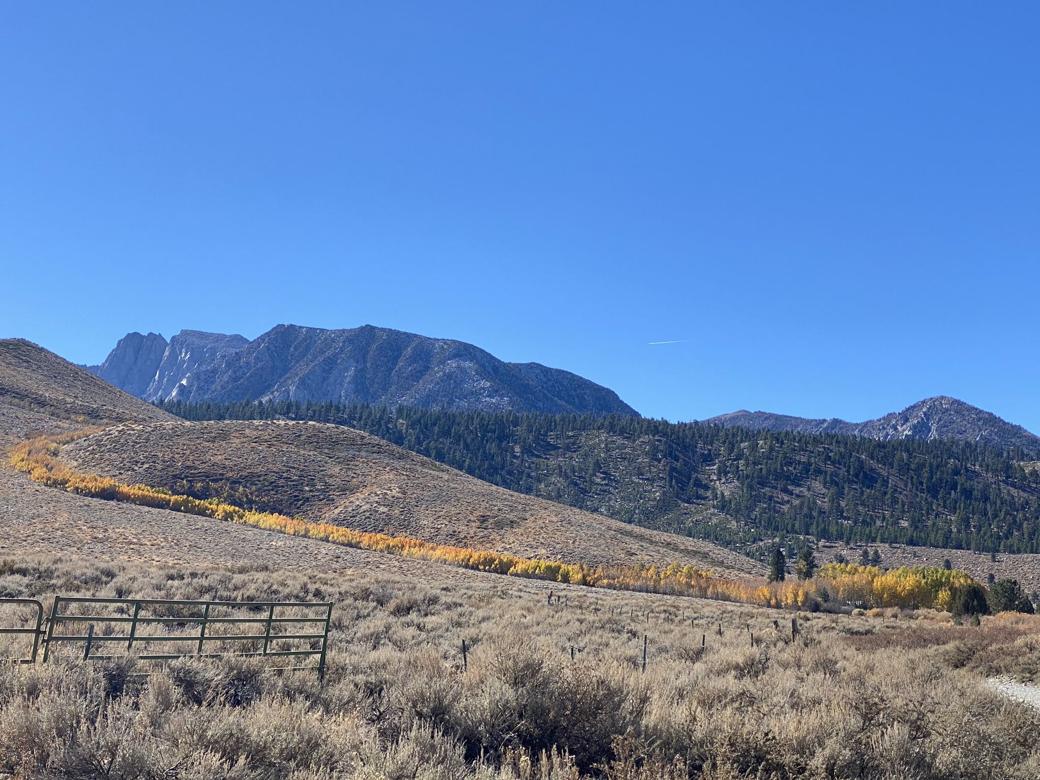 Distant mountains rise above arid hills with a line of bright yellow trees. - Mammoth Lakes to Convict Lake loop
