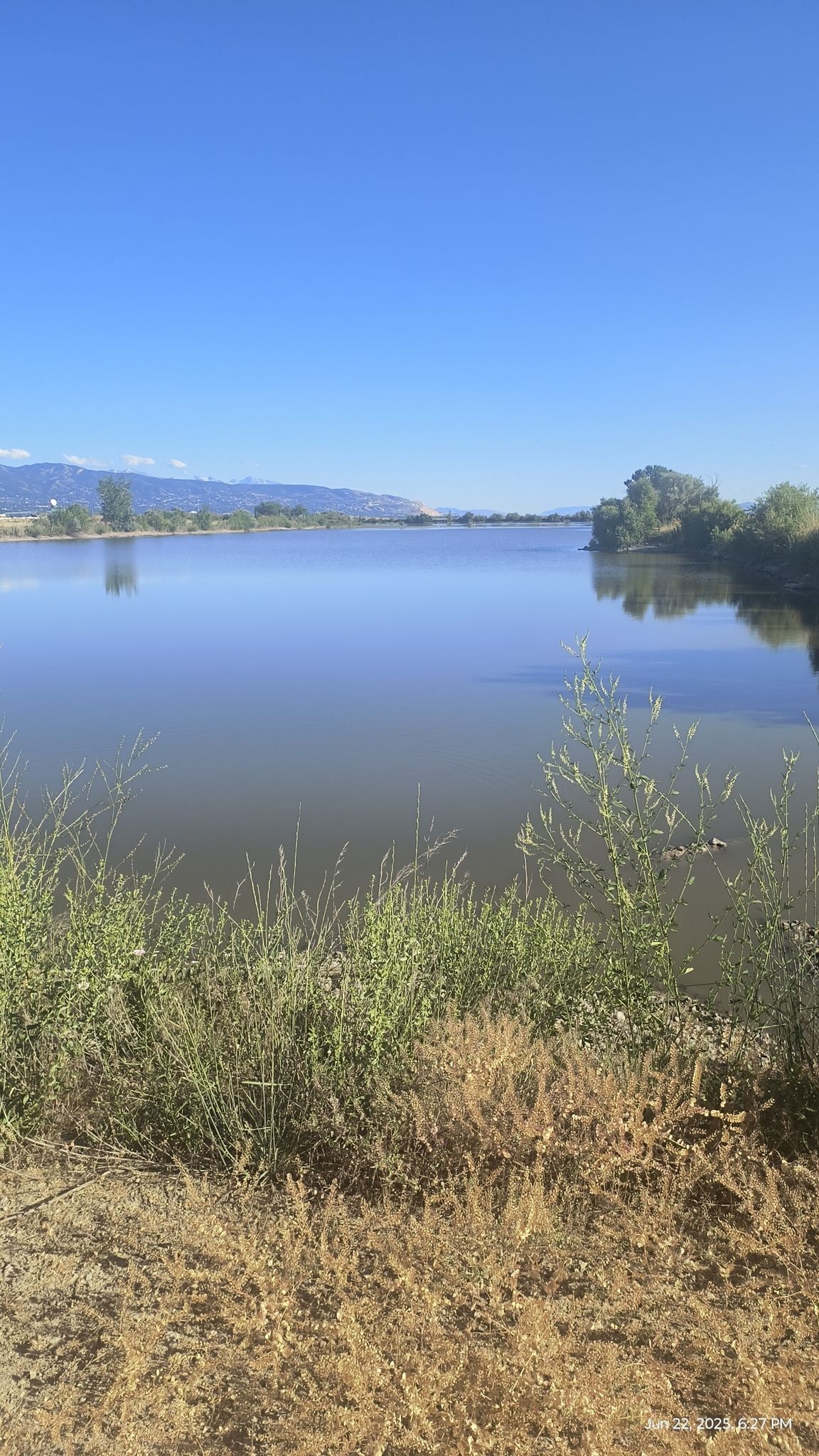 buffalo ranch pond