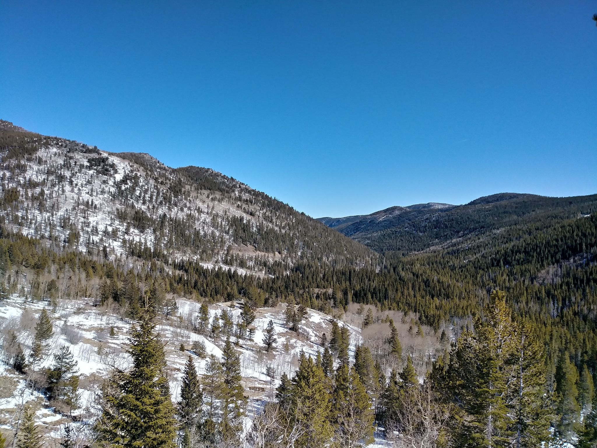 Snow-covered mountainside with pine and aspen trees under a clear blue sky. - Woodland Lake Trail
