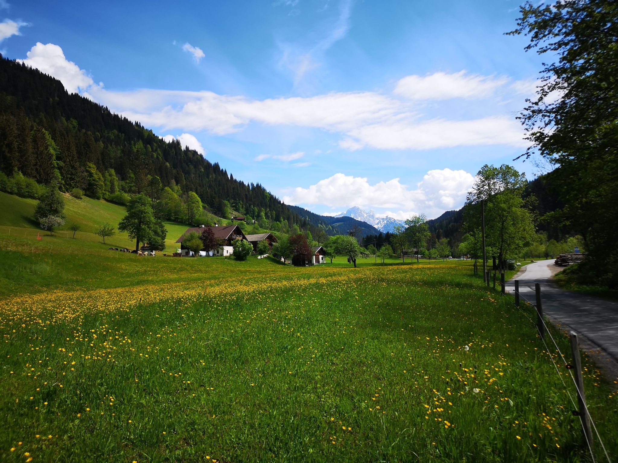 Schattbach, Gemeinde Eben, Blick zum Dachstein