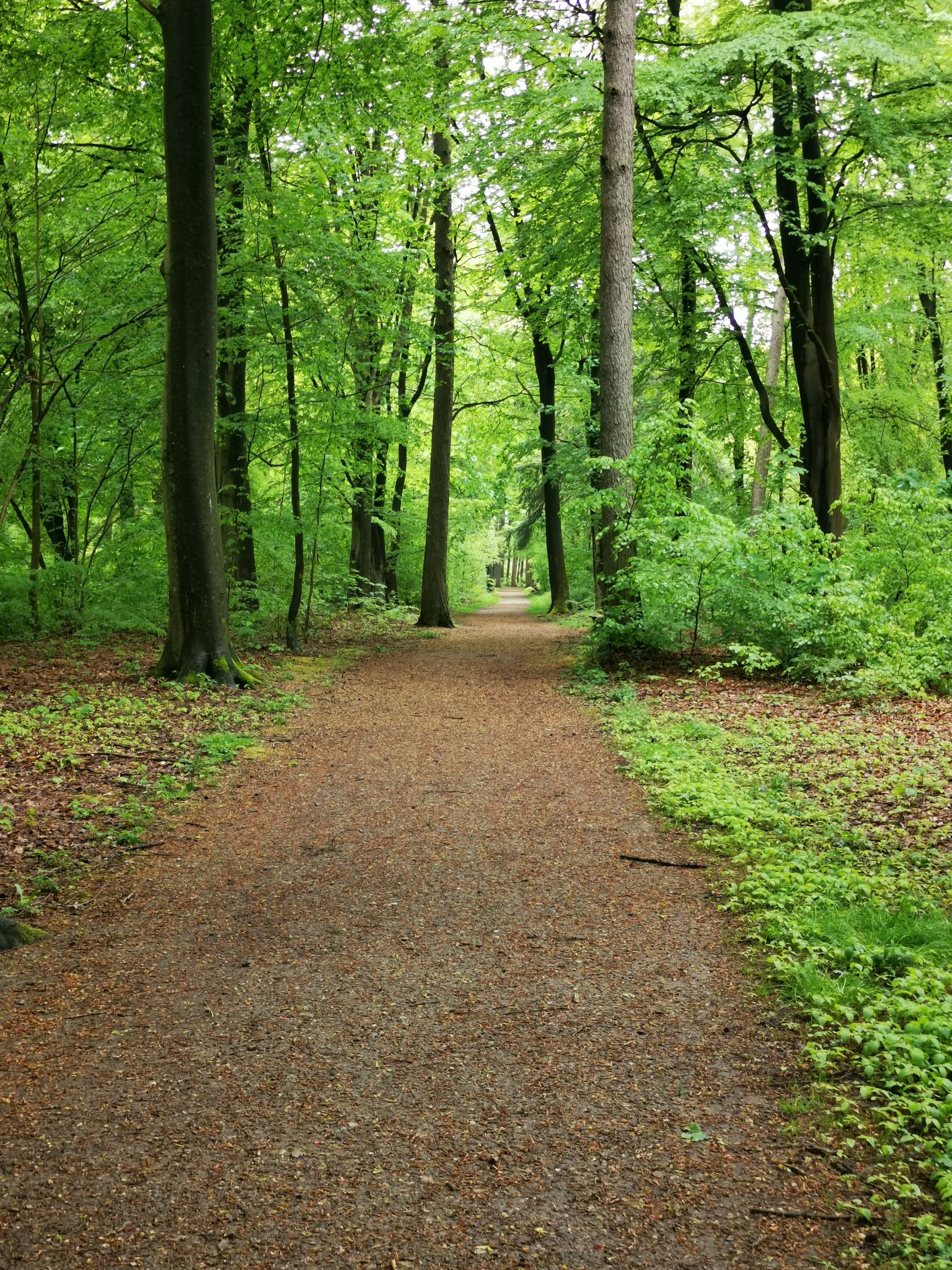 Ab durch den Stadtwald 🌳🌳🌳