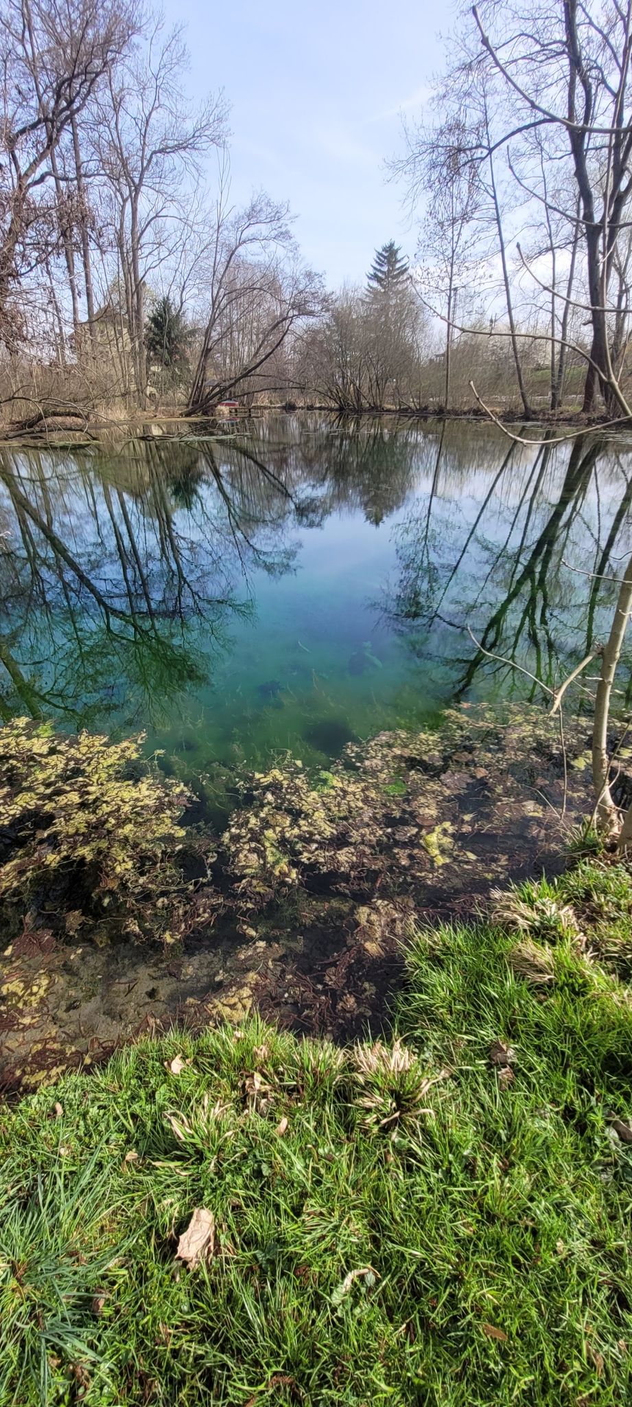 Bruchteich