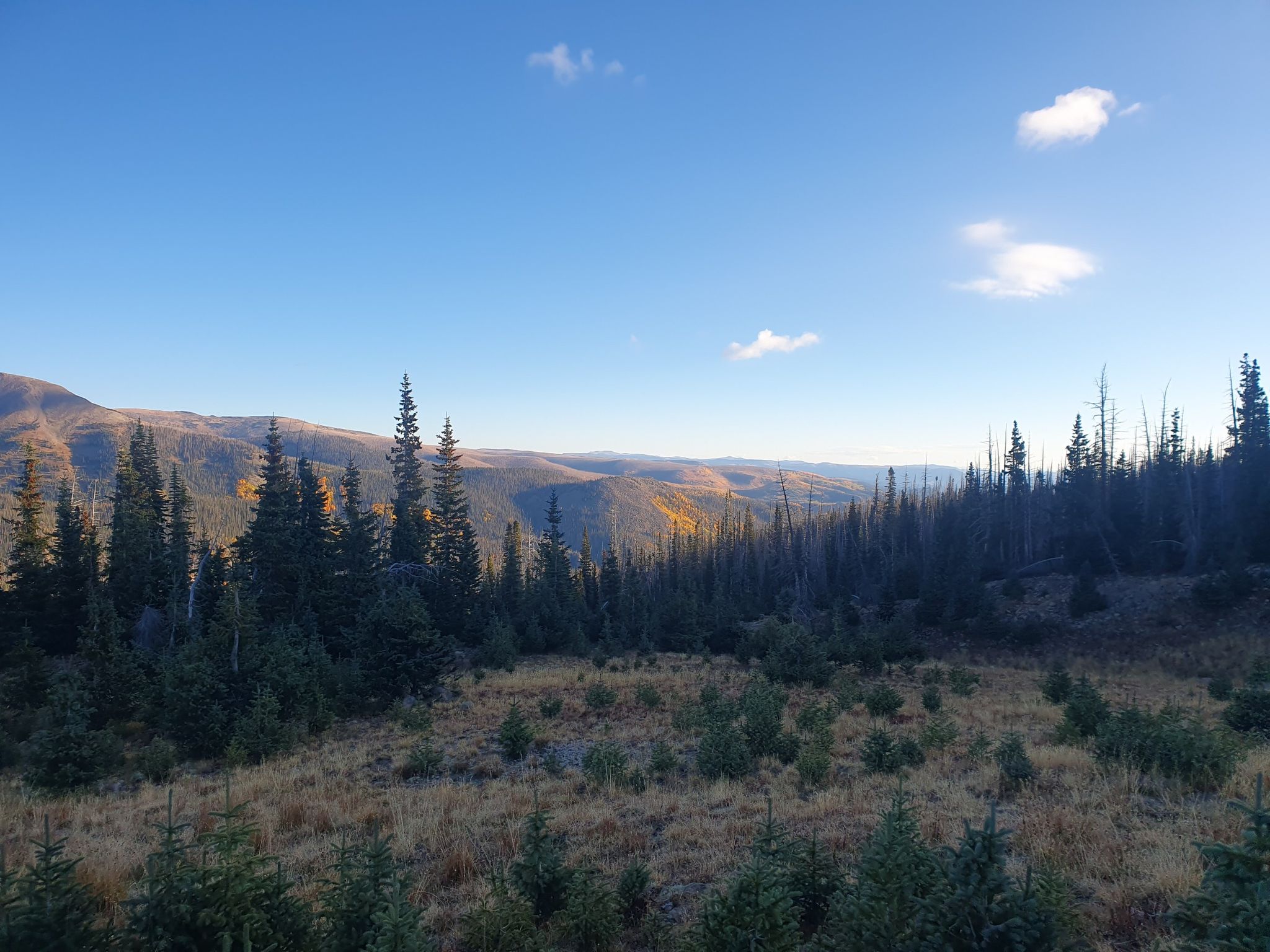 A wide view of a vast forest and distant mountains under a clear sky. - Rock Lake loop from Wolf Creek Pass