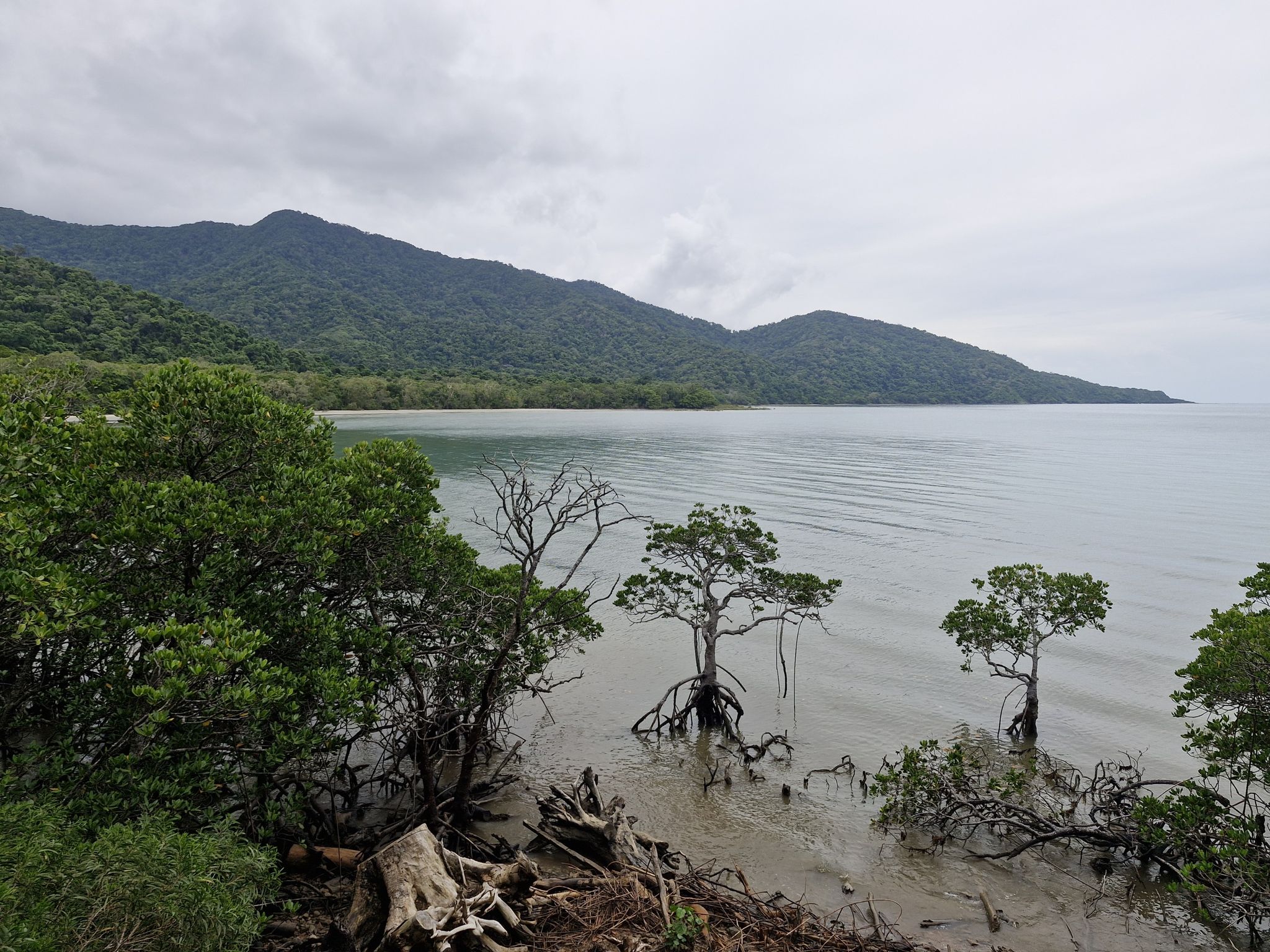 Cape Tribulation