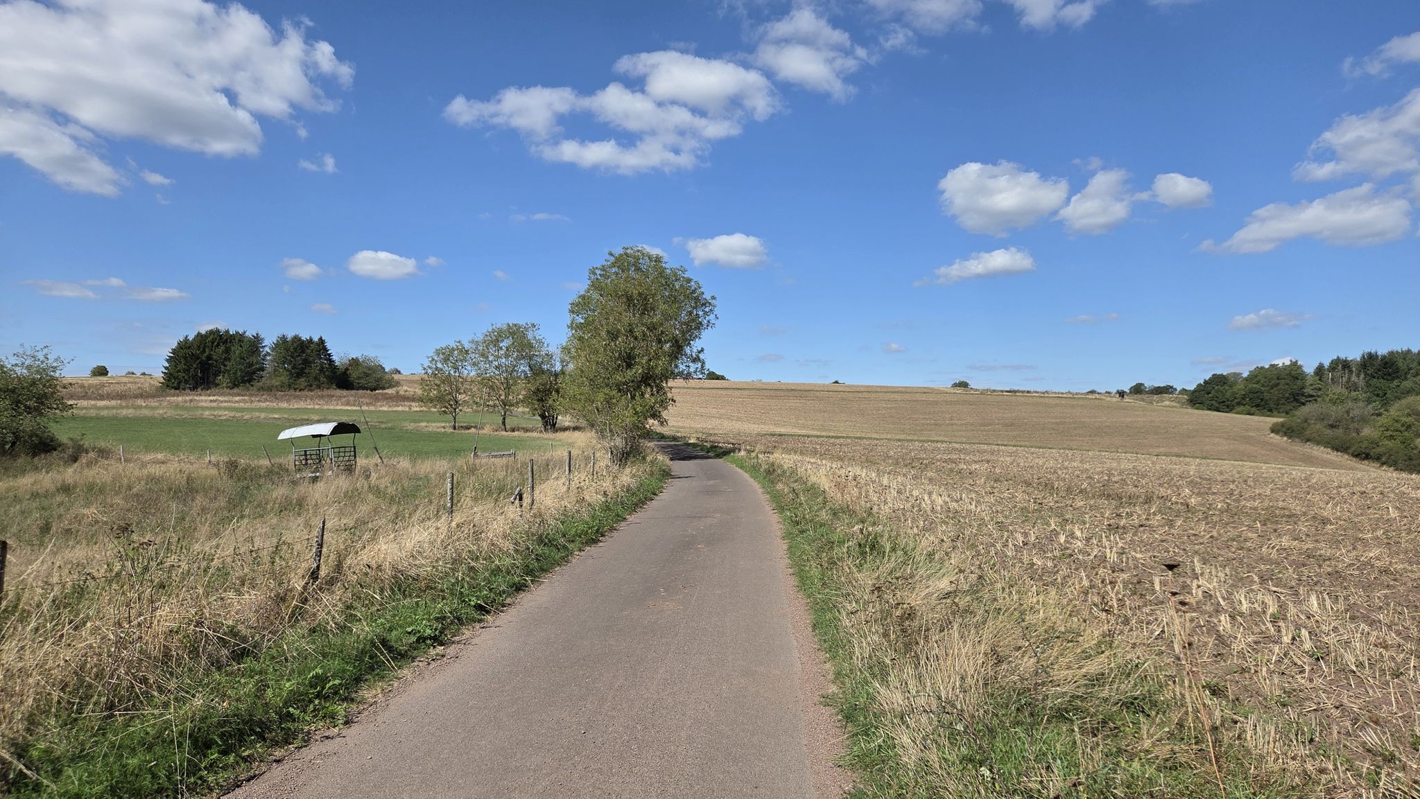 Weg nach Oberbrombach