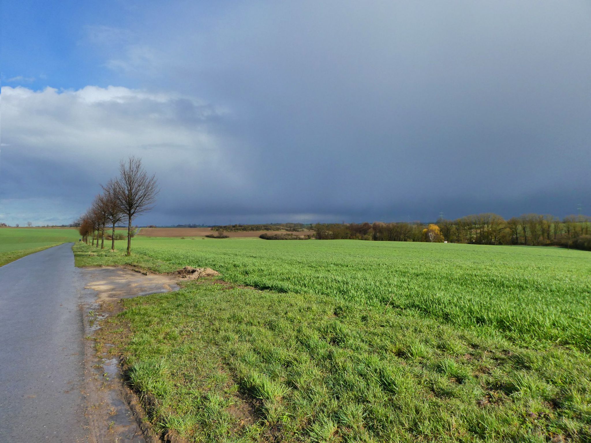 Schnell die Regenlücke nutzen nach Bebertal