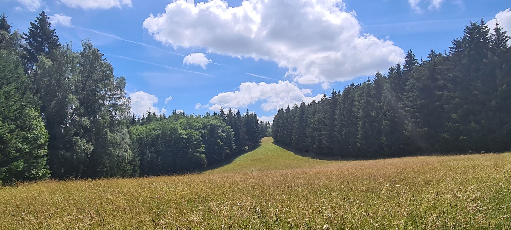 Ein herrlicher Sommertag