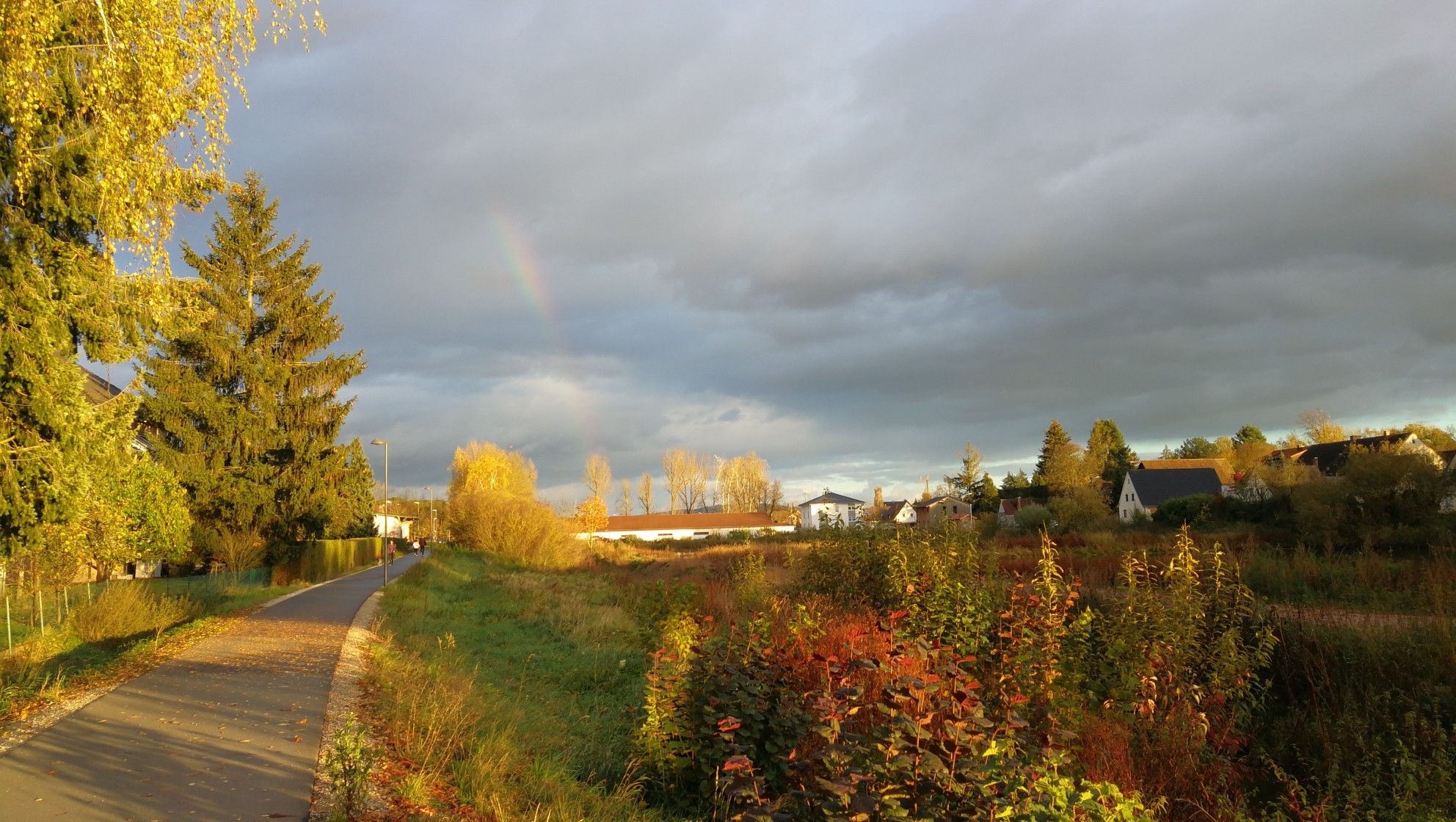 Regenbogen