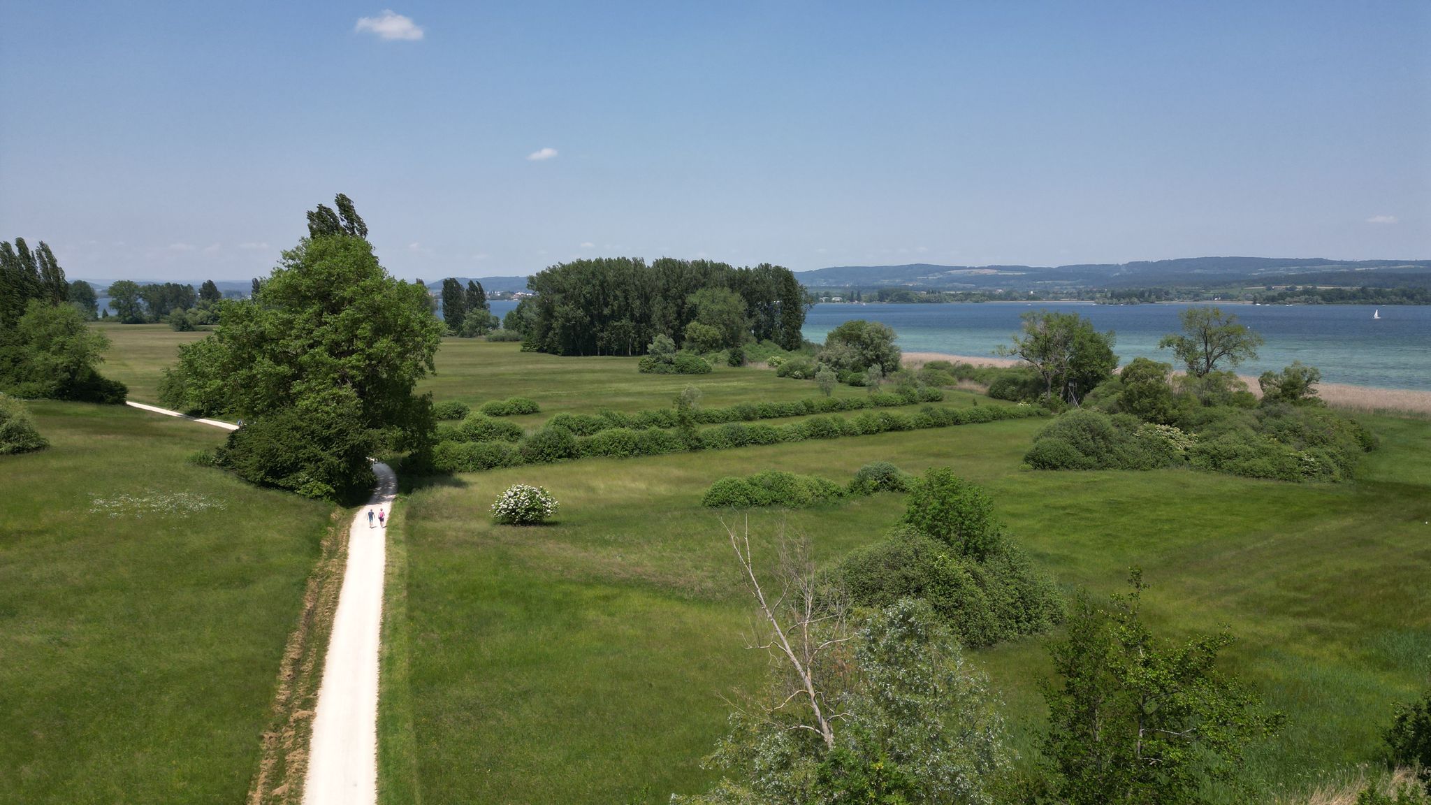 Bodensee bei Radolfzell und Reichenau.