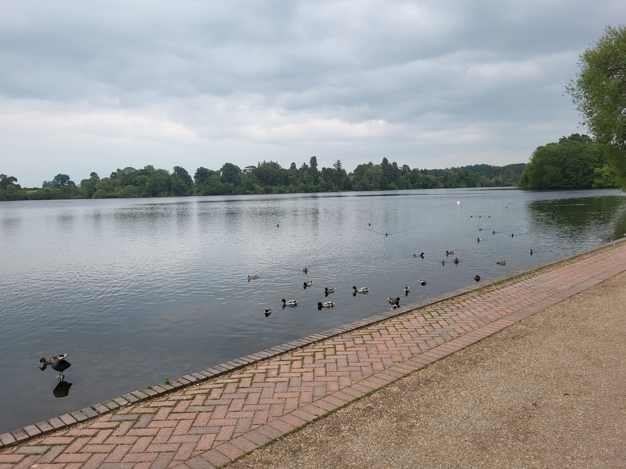 The Mere at Ellesmere