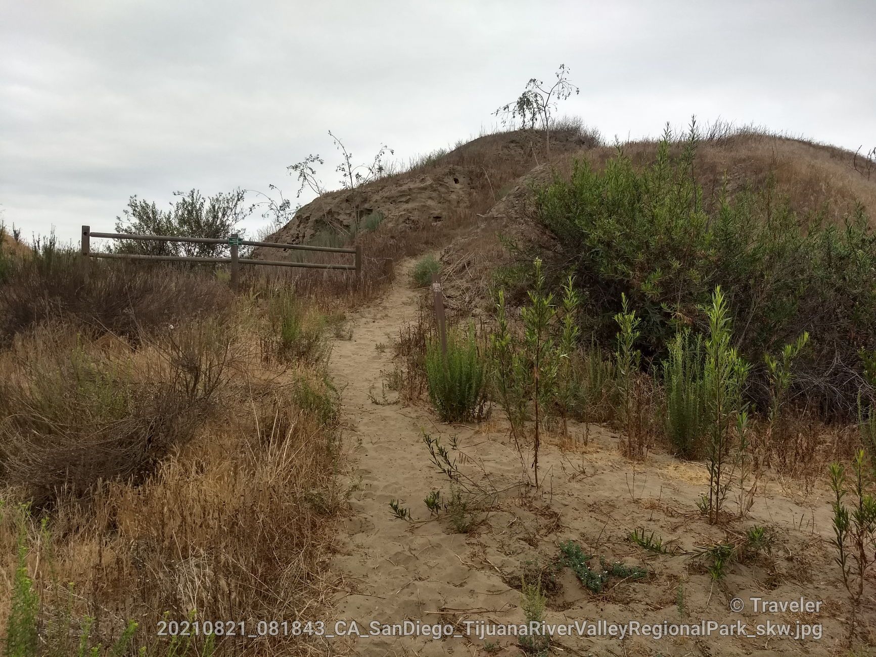 Sandy path winds uphill through dry brush and a wooden fence. - Olympic Parkway to Tijuana River Valley Regional Park loop