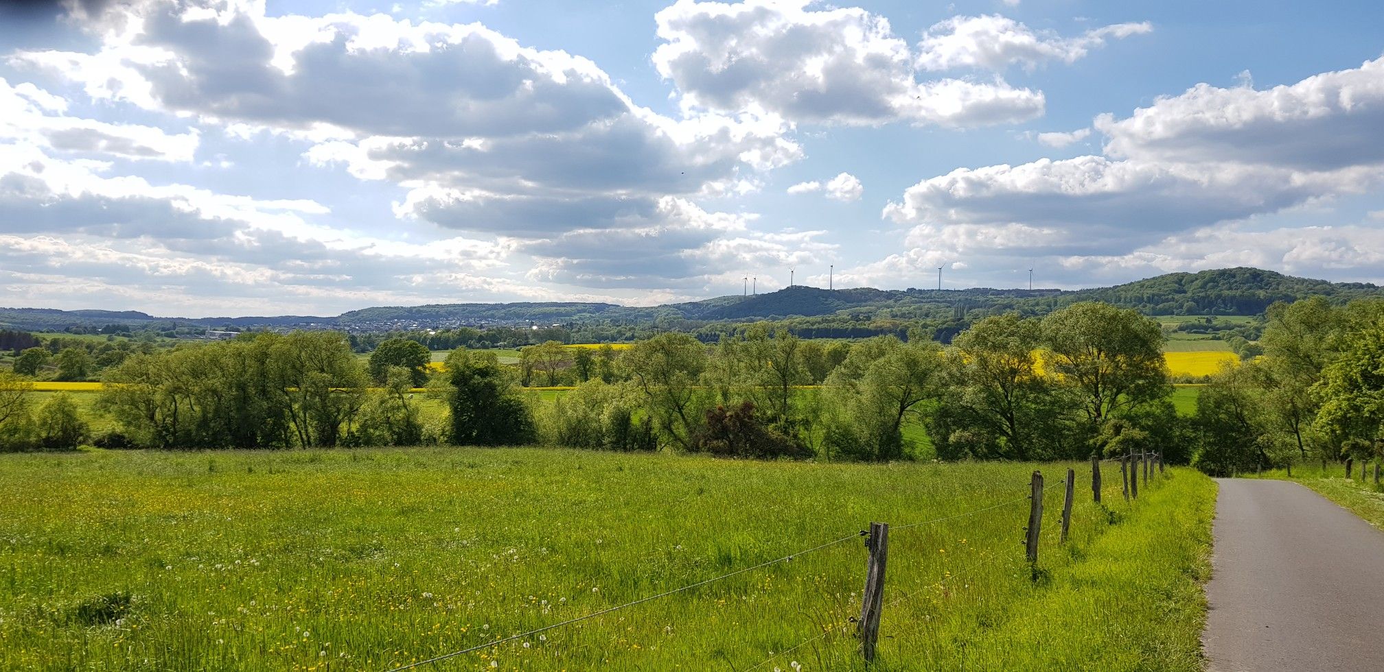Ausblick