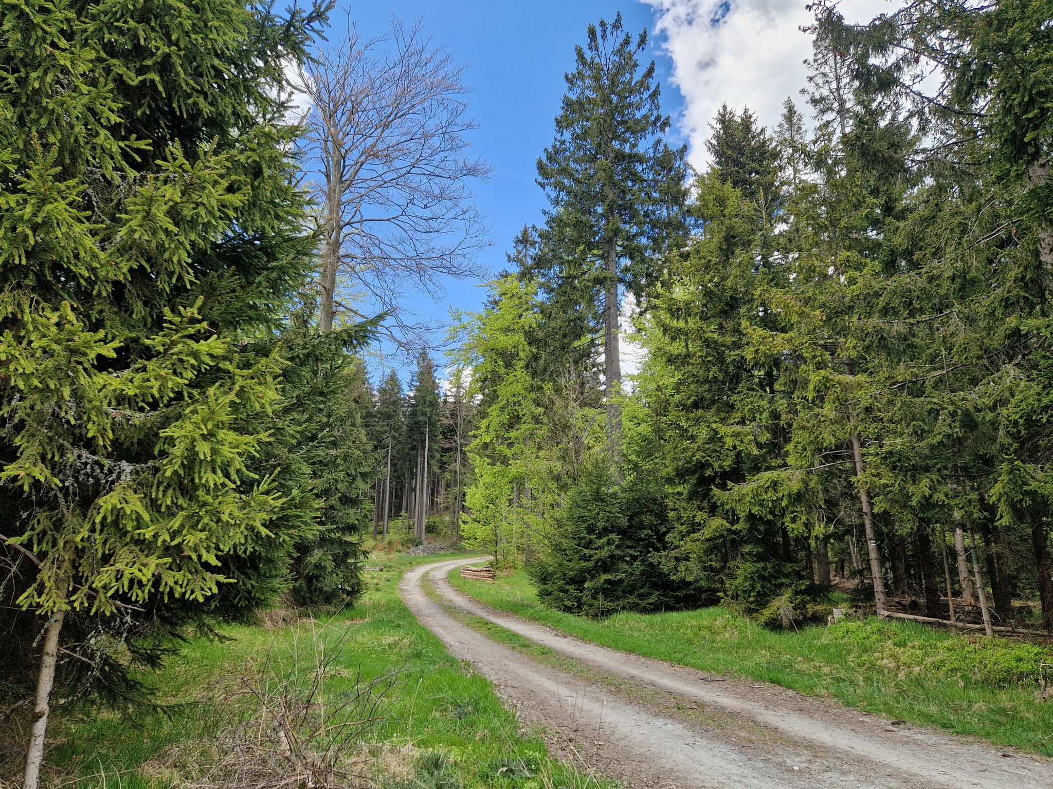 Vinná hora - sedlo