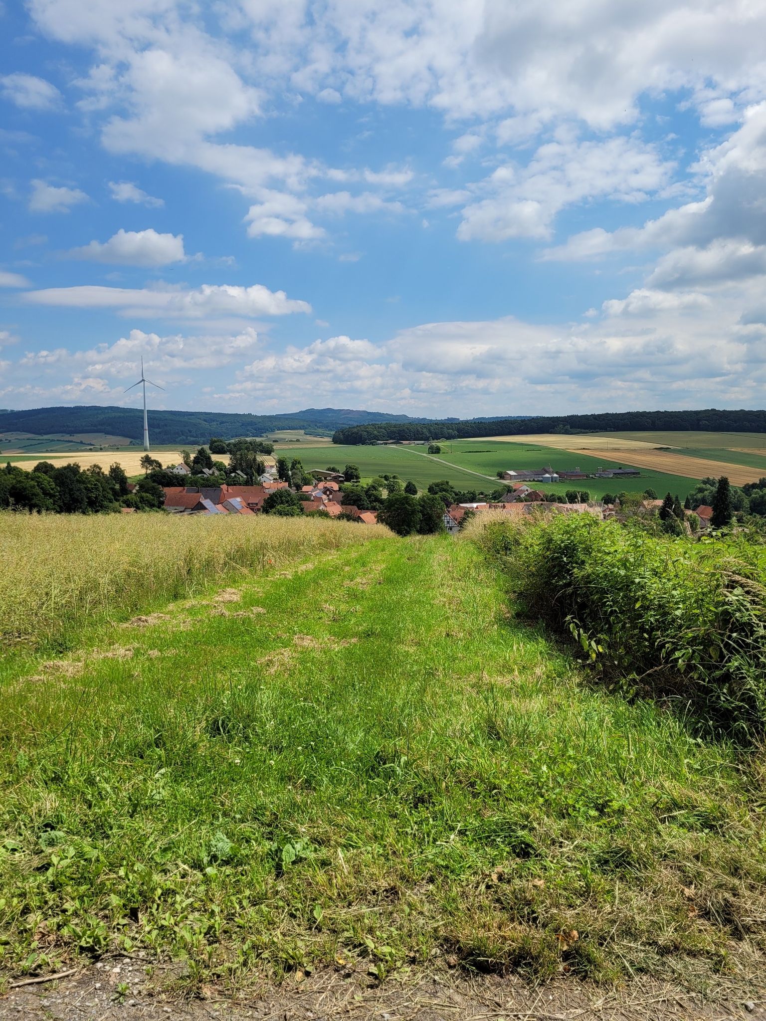 Arenborn