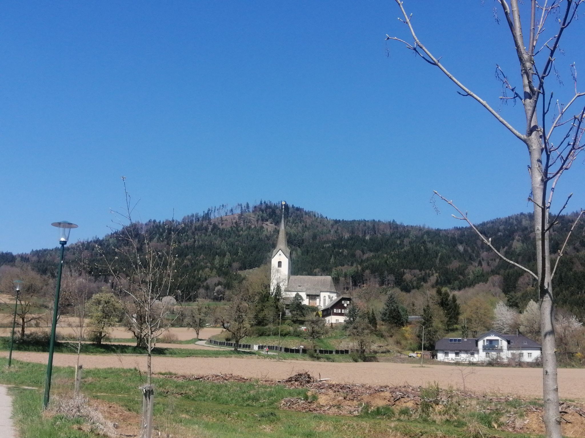 Freudenberg
