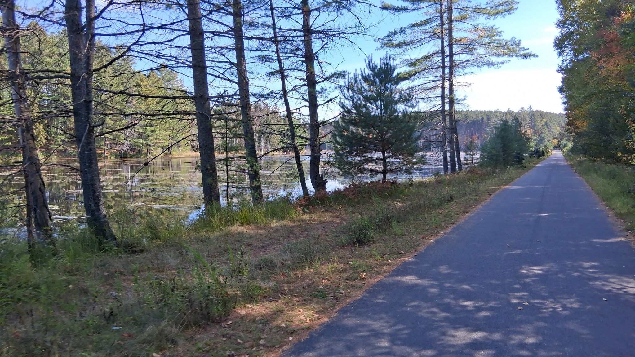 Paved path alongside a sunlit lake with pine trees and forest. - Lower Saranac Lake – Lake Colby loop from Haystack Mountain (little)
