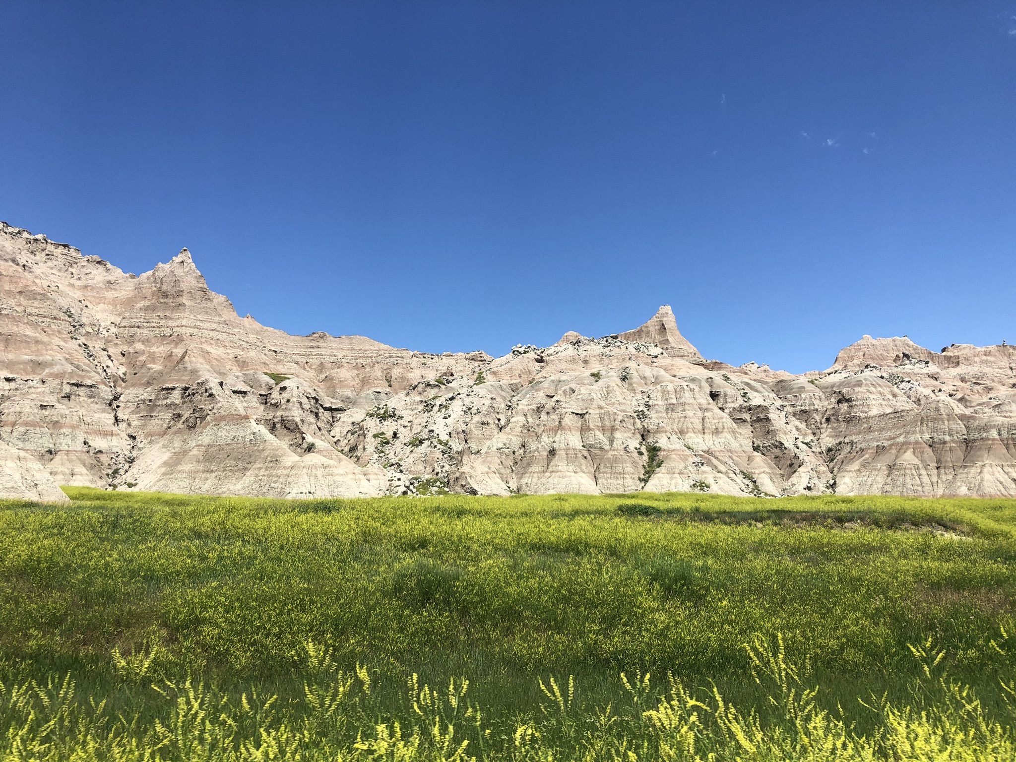 Vibrant green and yellow grassy field in front of jagged rock formations. - Northeast-Big Foot Loop