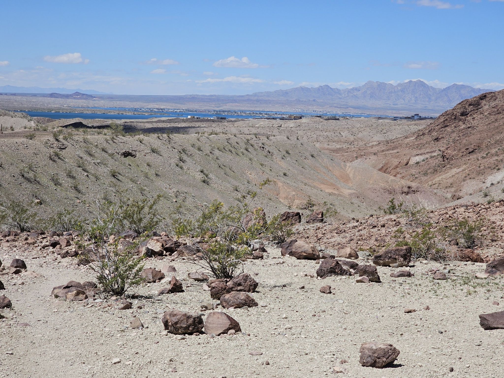 Expansive desert landscape with sparse shrubs, rocks, distant mountains, and a lake. - SARA Trail loop