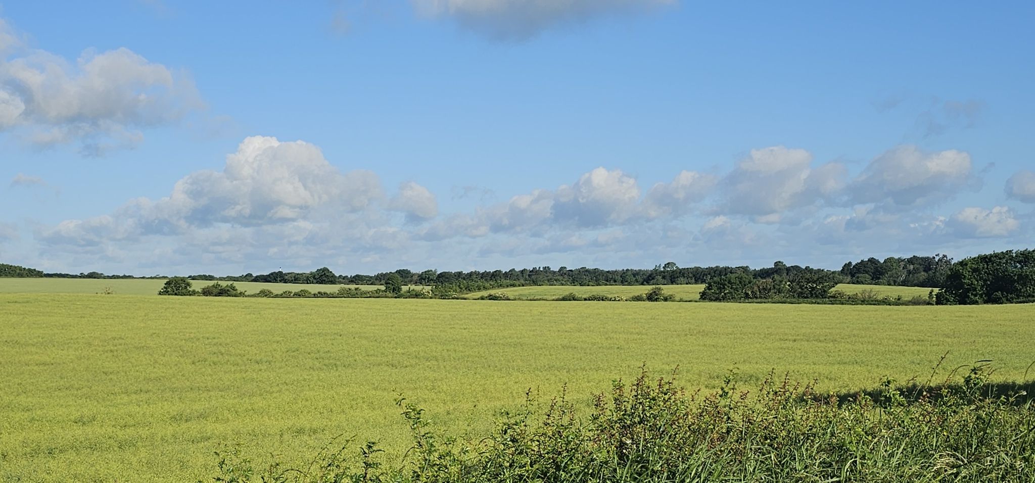Landschaft bei Stobhill