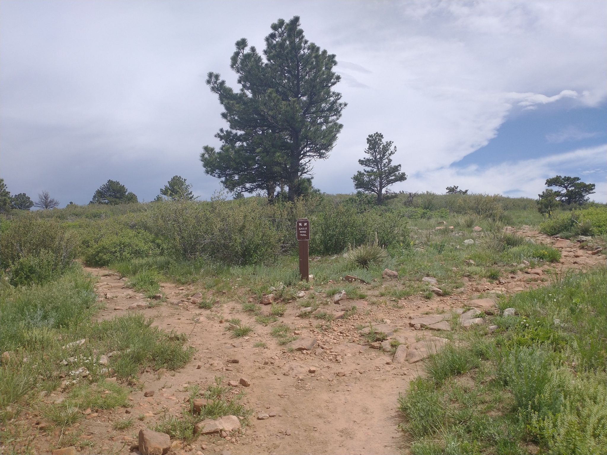 A dirt trail forks around a signpost on a grassy hill. - Eagle Wind Trail Loop
