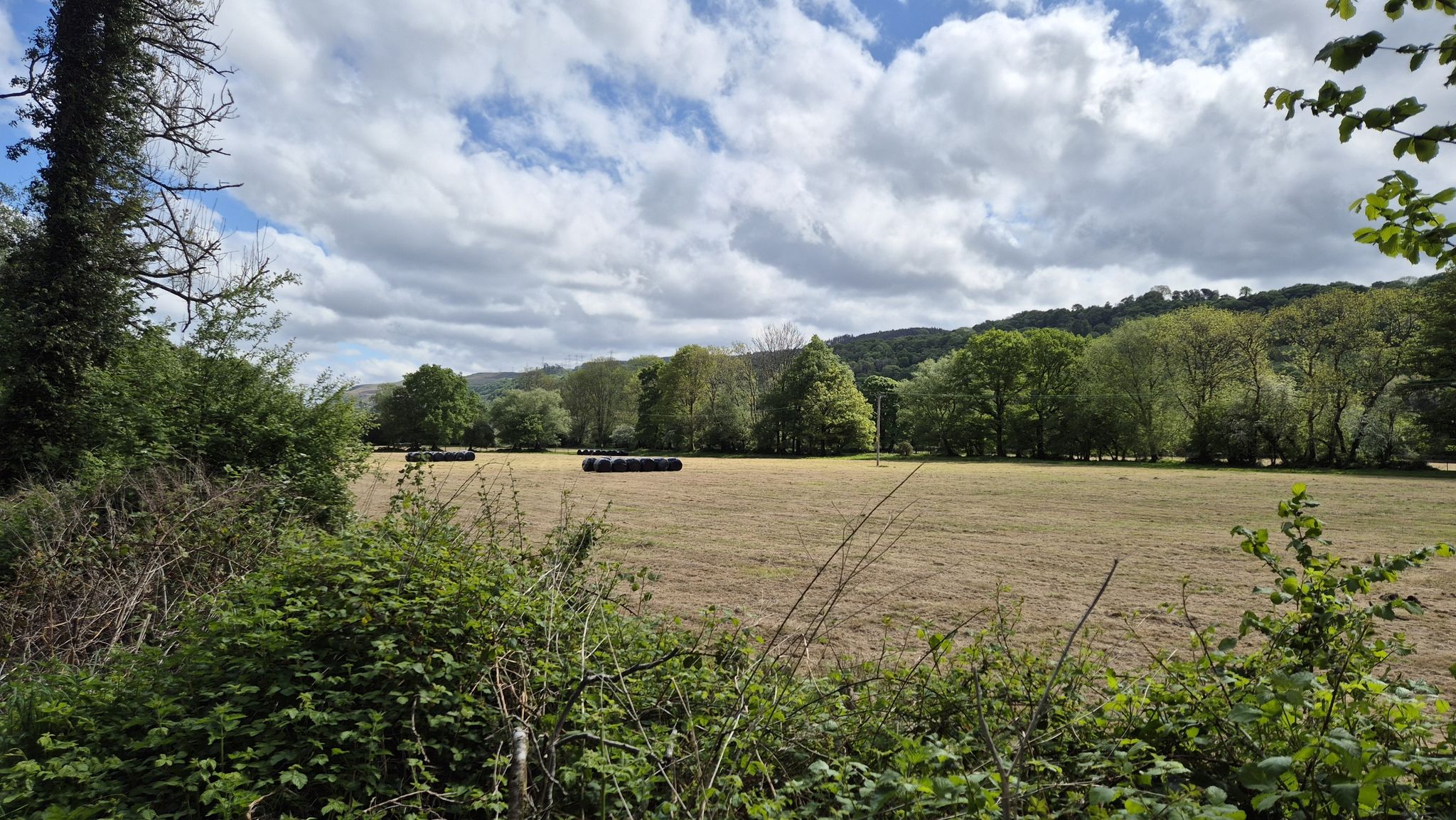 field views