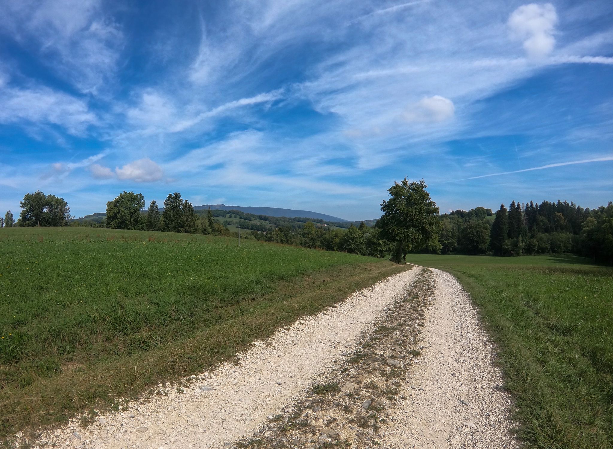 View to Le Salève, kind of giara blanca groad