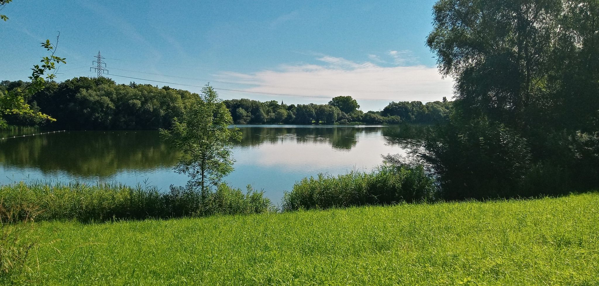 Sander See