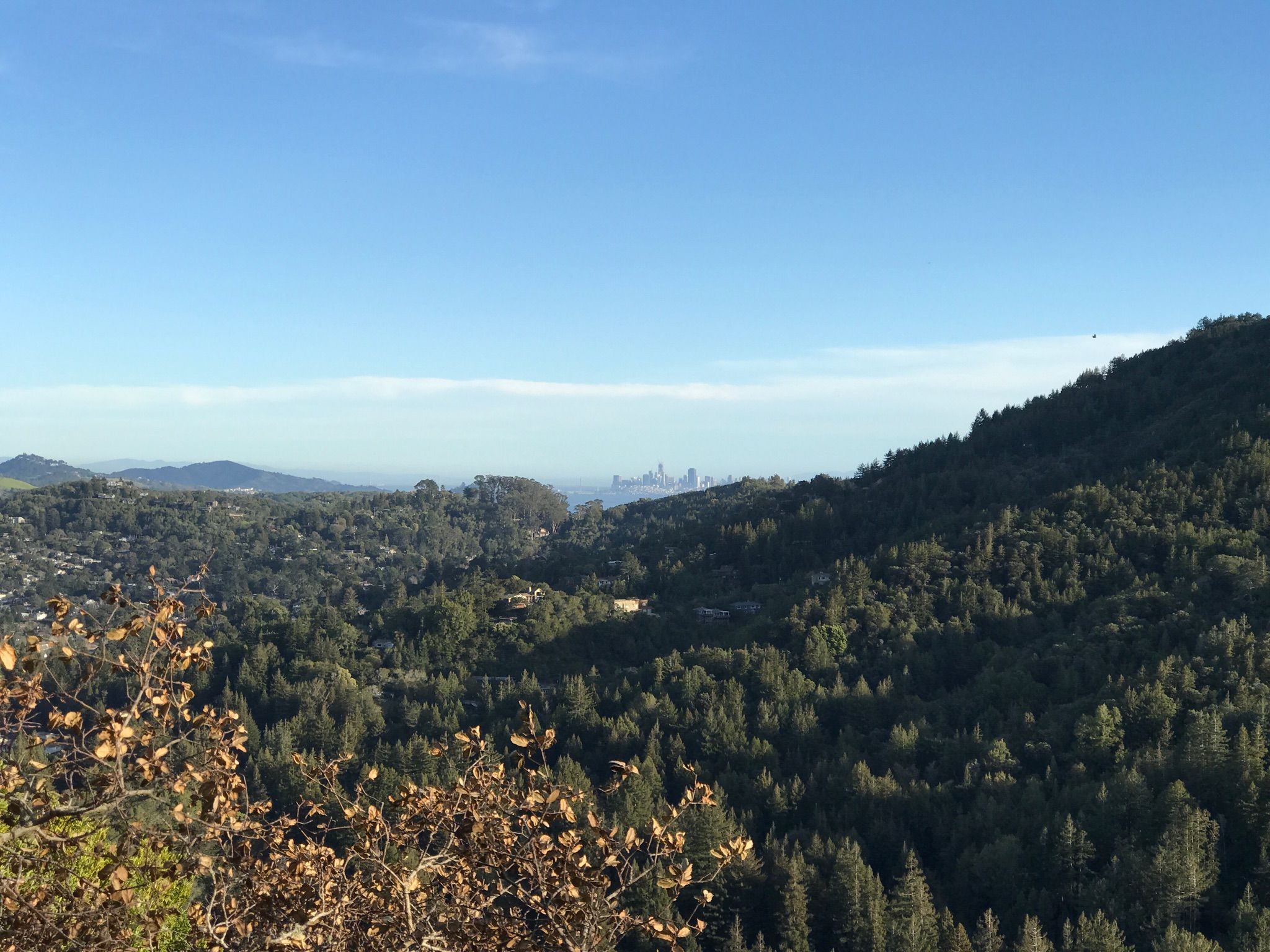 Expansive view of green forested hills with a distant city skyline under blue sky. - King Mountain Loop Trail