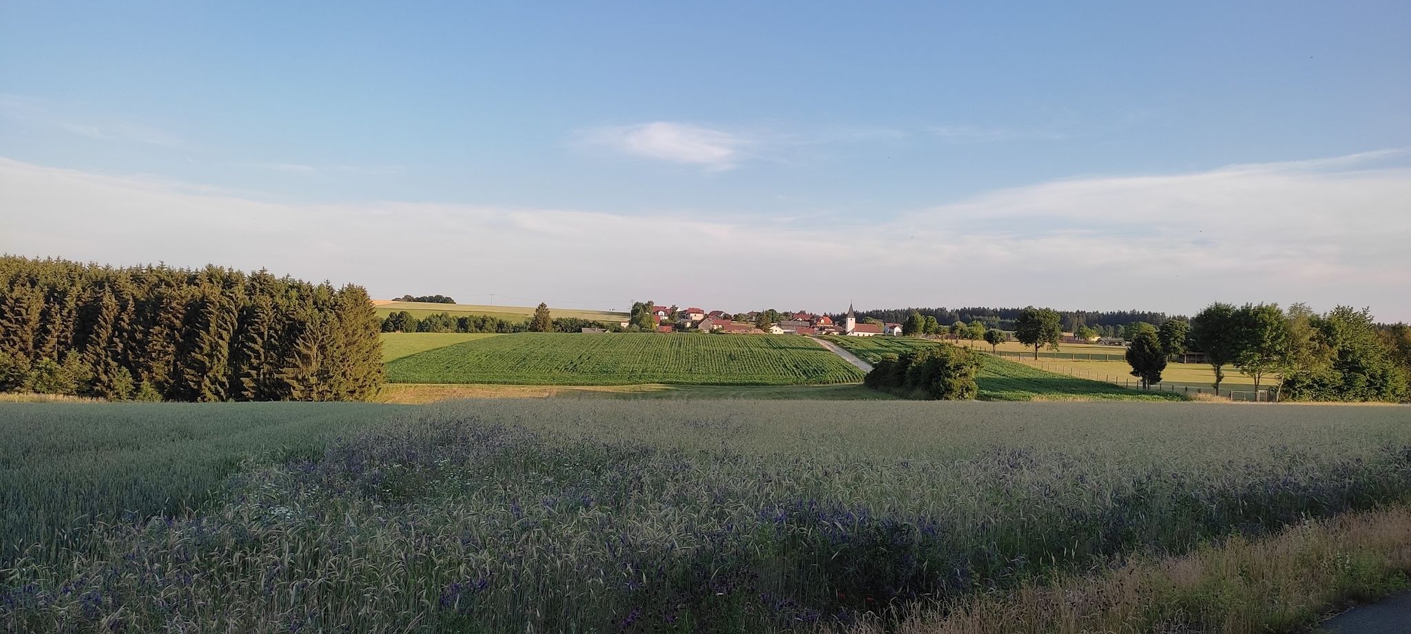 Blick auf Döllwang