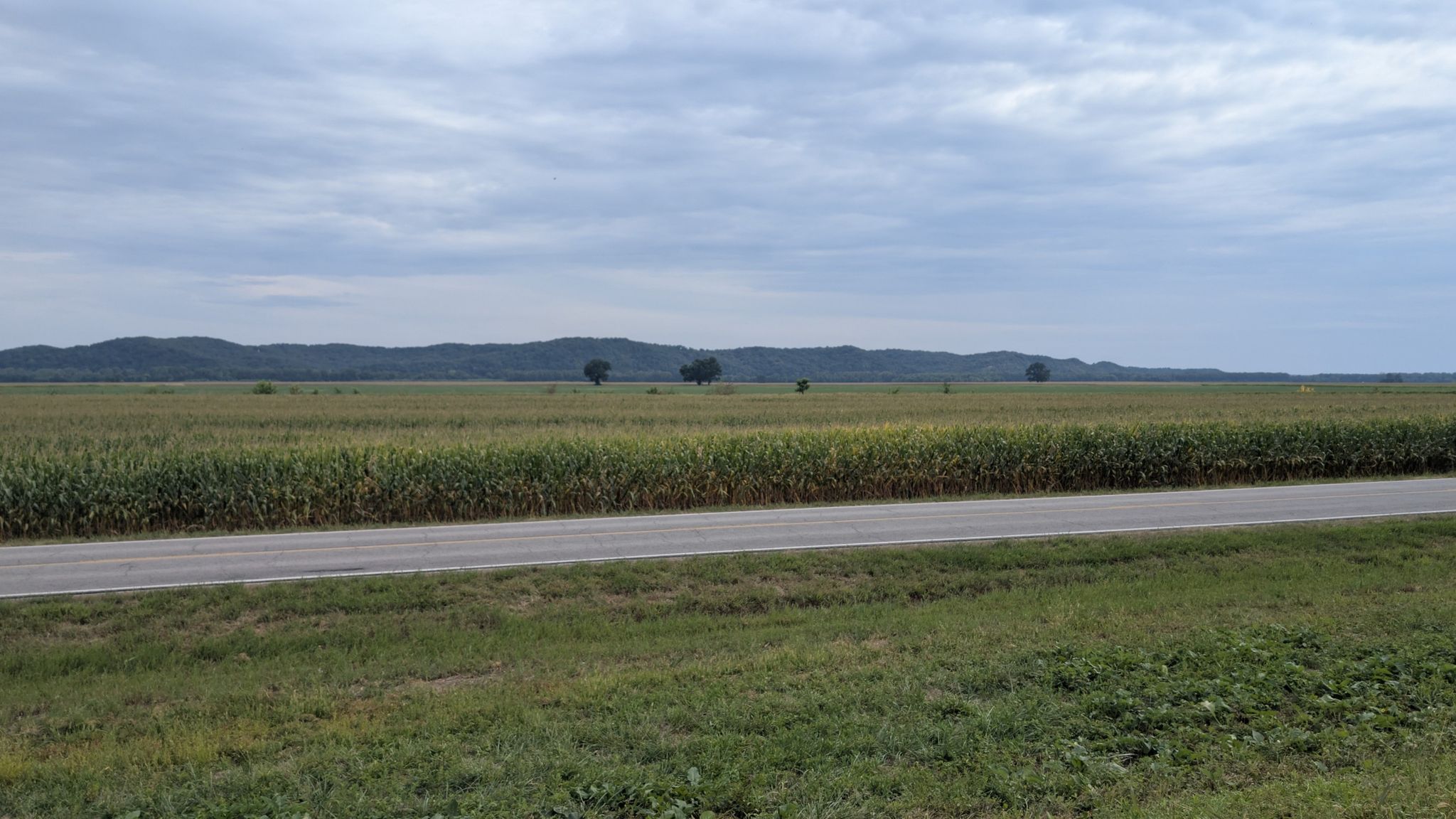 Wide green field with distant hills under a cloudy, overcast sky. - Rhineland – Rest stop loop from McKittrick