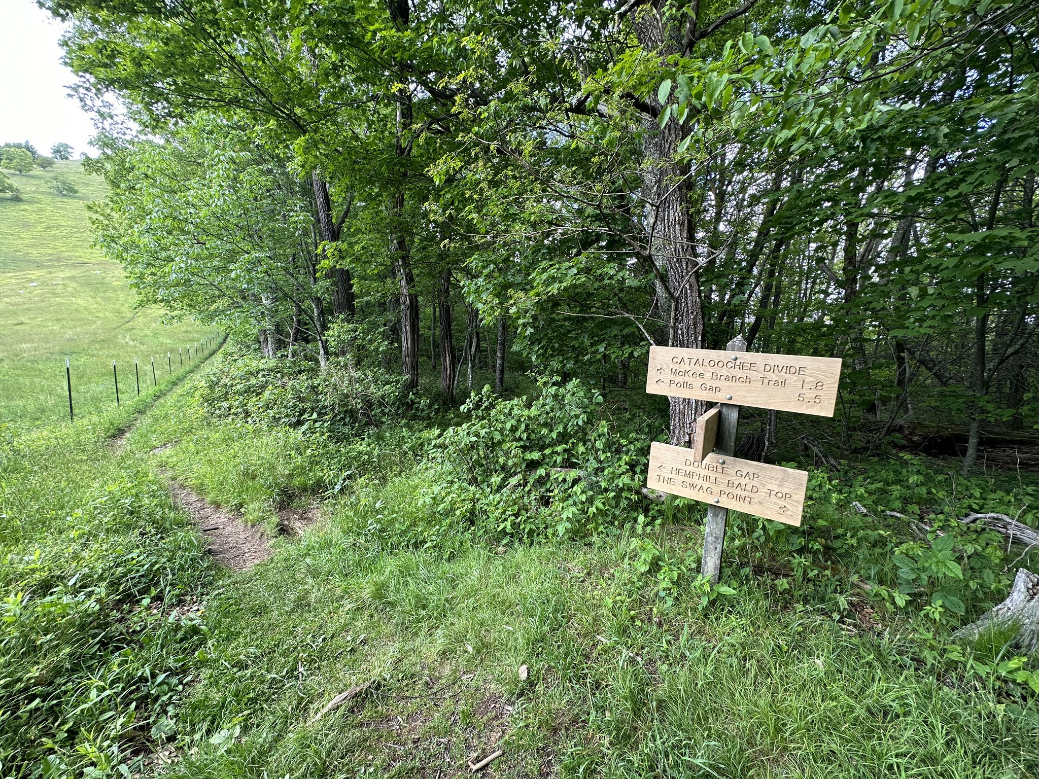 Wooden trail signs at a forest edge next to a grassy field. - Hemphill Bald Loop