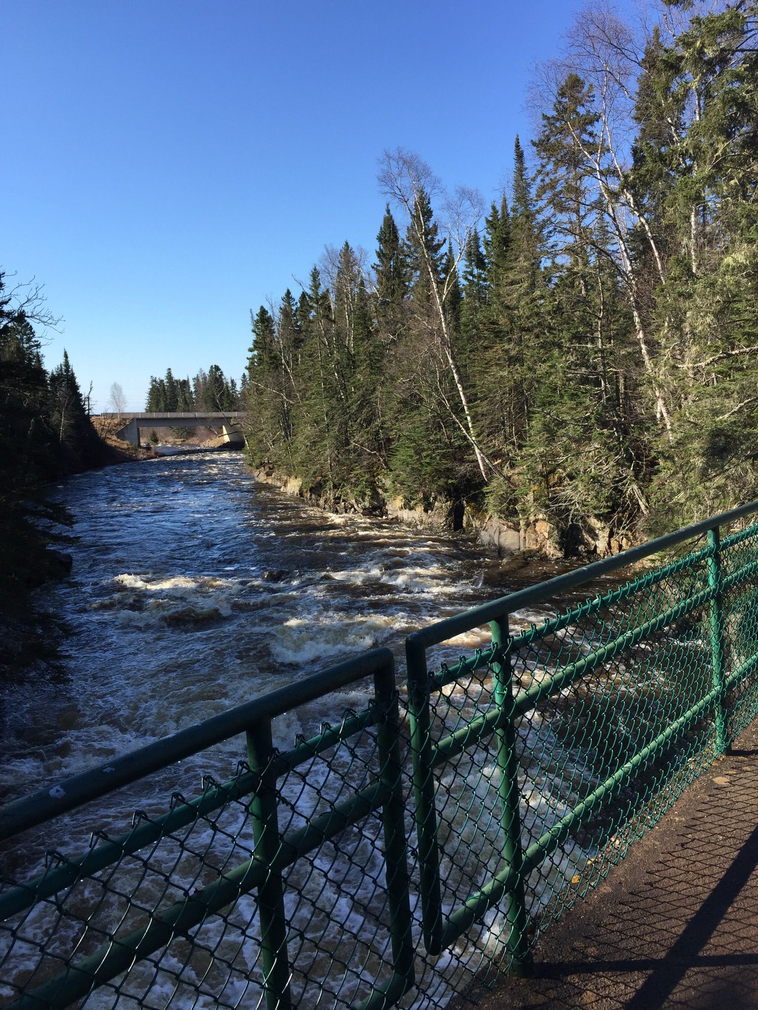 Rushing river with pine forests under a bright sky, viewed from a green fence. - Devil's Kettle