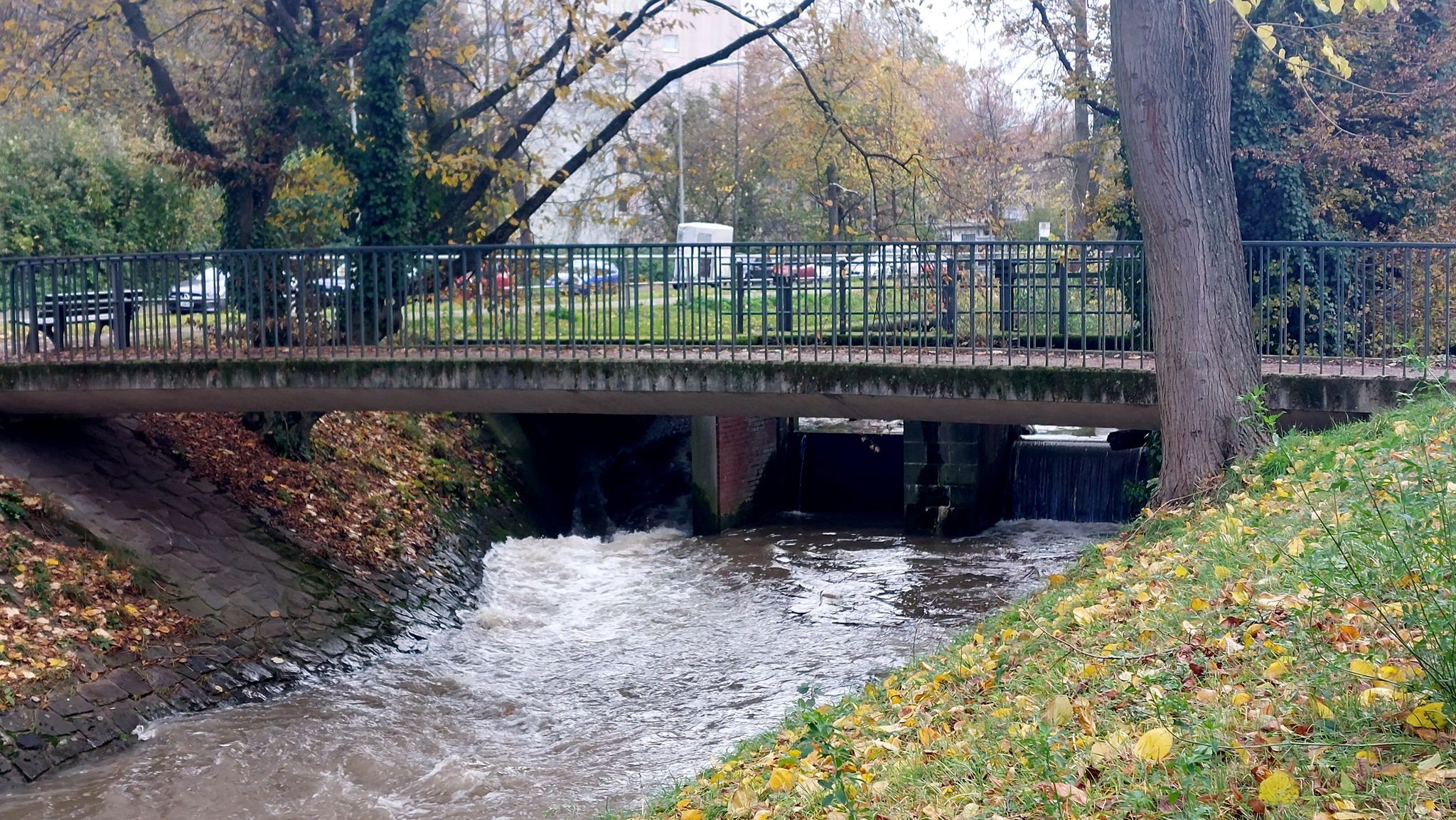 Hier entspringt der Kittelbach