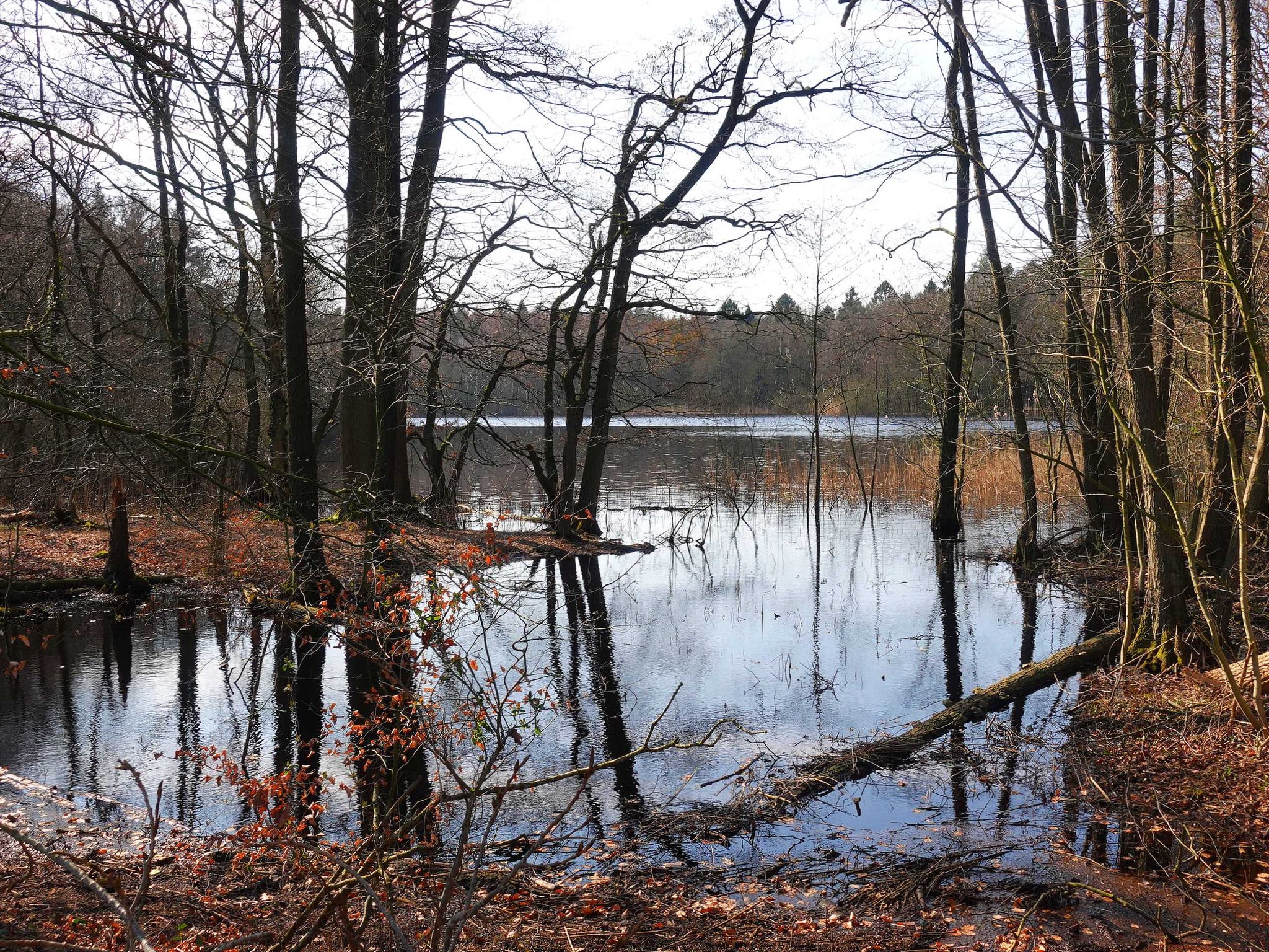 Horsterbeck