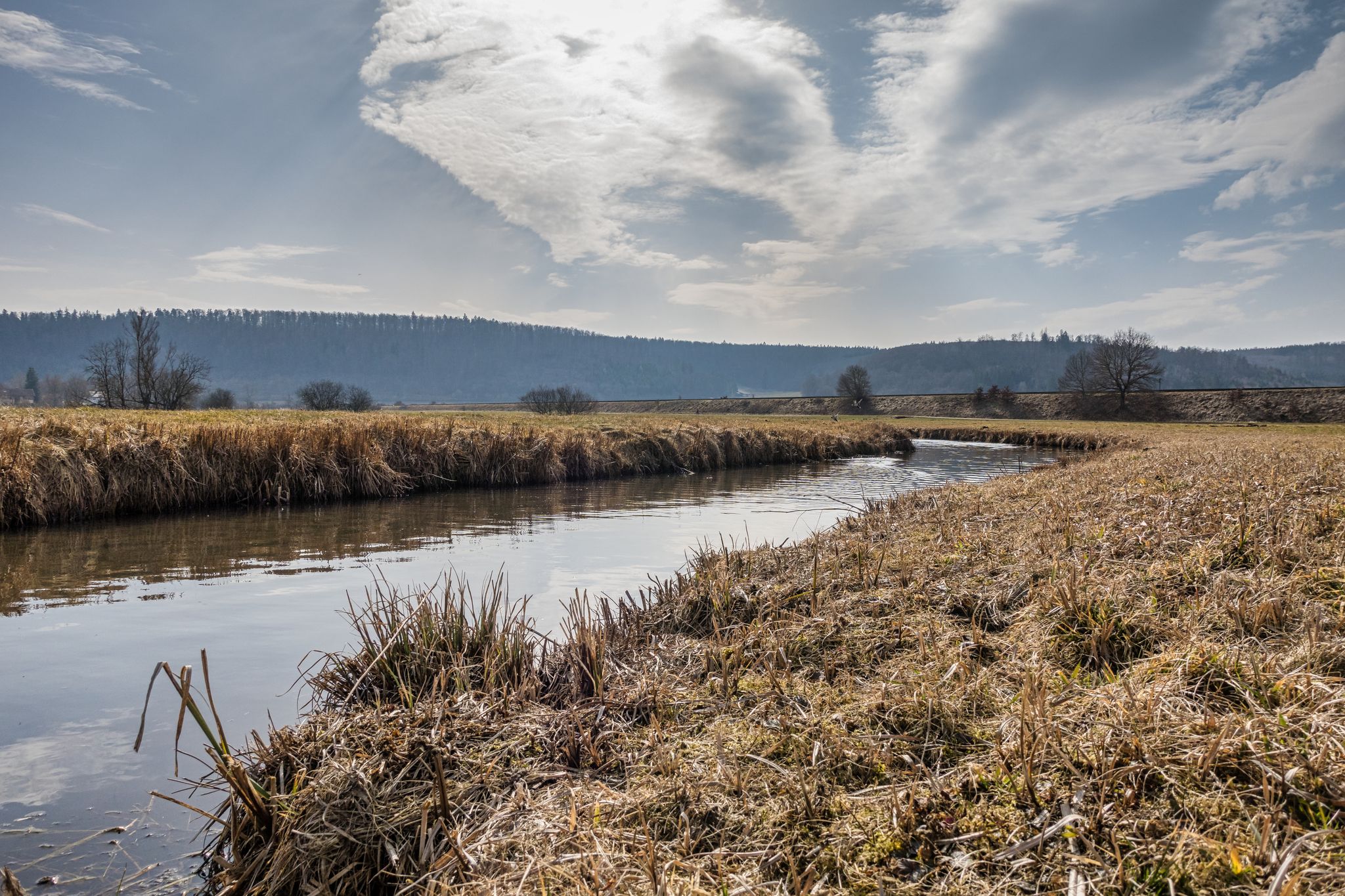Naturschutzgebiet Brünneleswiesen