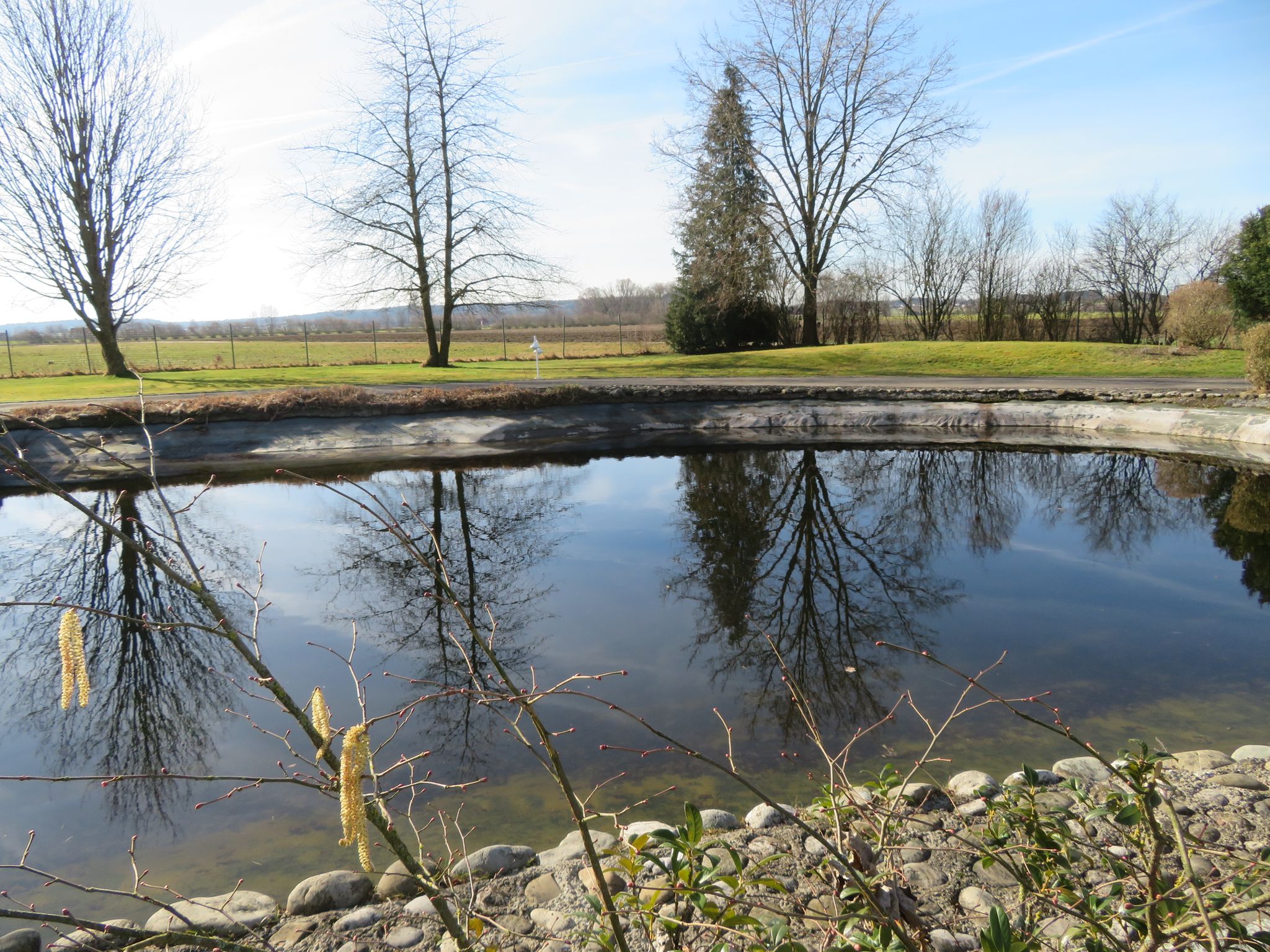 Schöner Weiher am Wegesrand