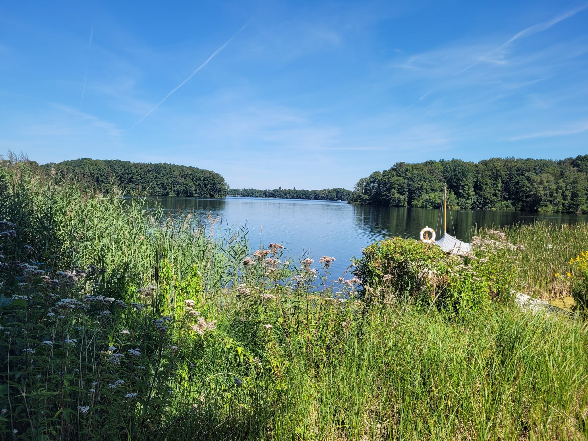 Dümmersee - jetzt geht's in die Fluten 🏊‍♂️🏊‍♂️