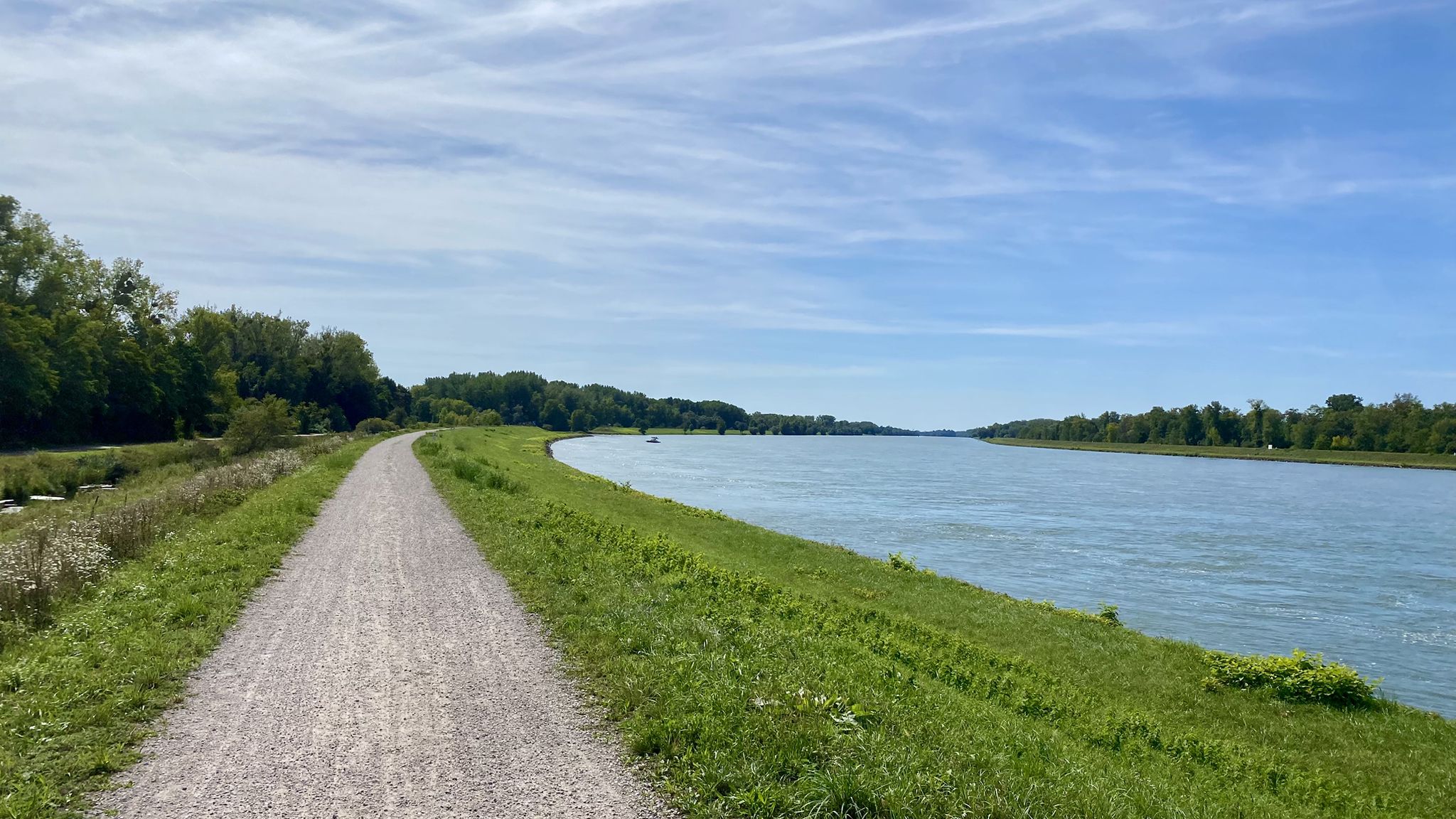 Le Rhin peu avant l'embouchure de la Rench