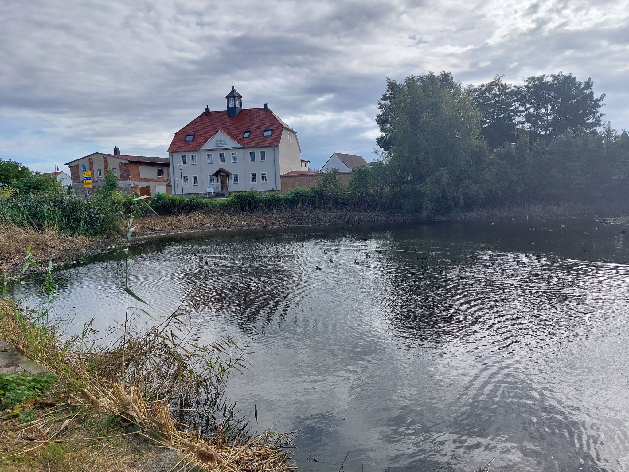 Dorfteich