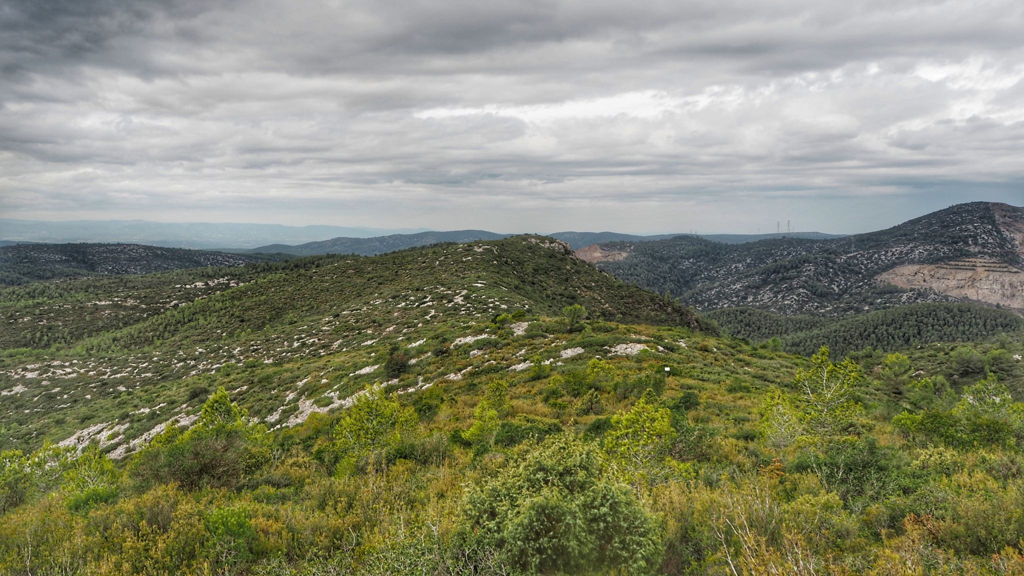 Penya Blanca des de la pista del Pla de Bassa Llacuna