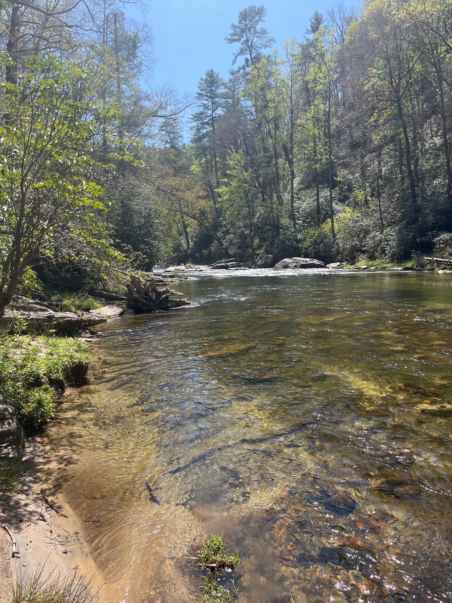 A clear river flows past a sandy bank and green trees on a sunny day. - Foothills Trail: Whitewater Falls to Oconee State Park