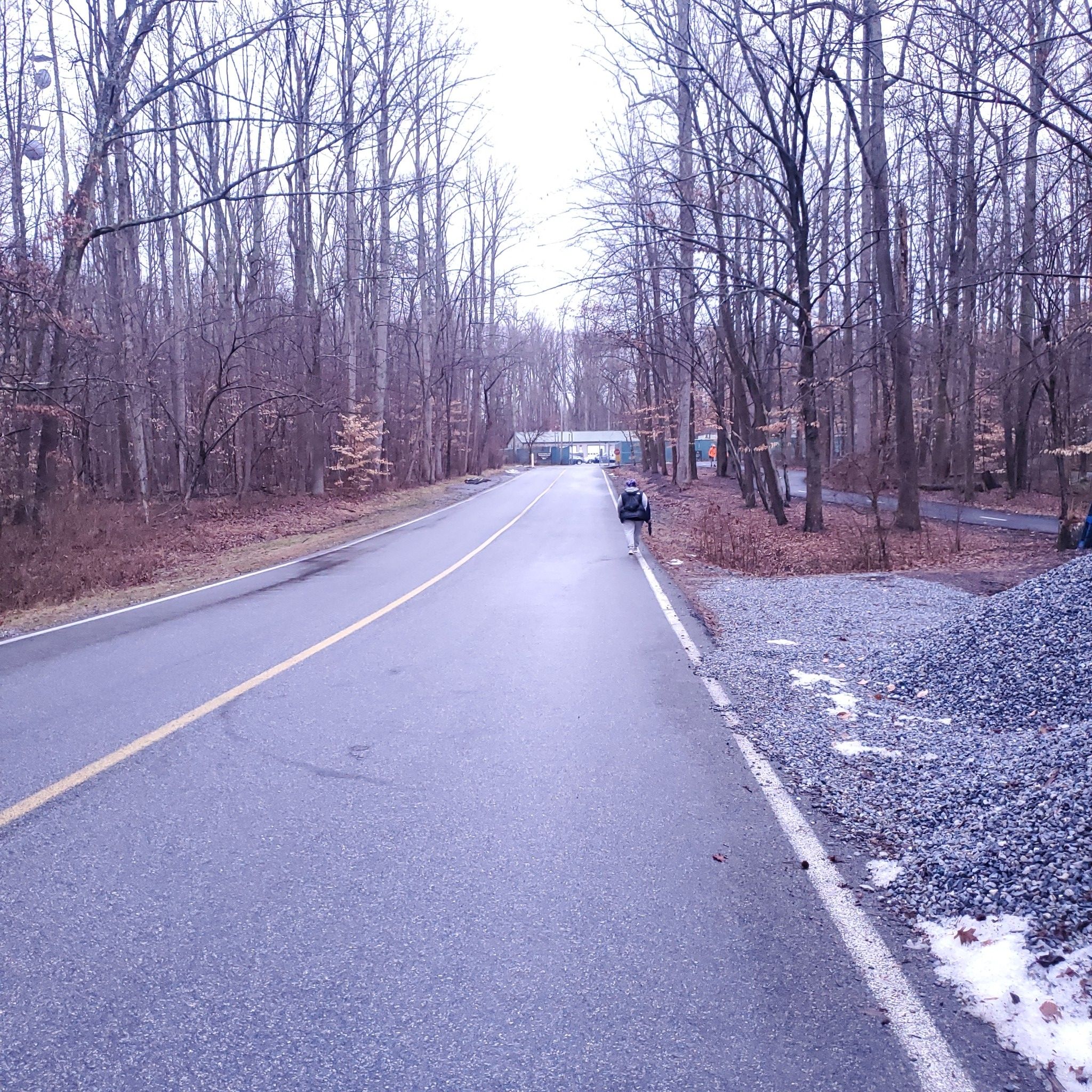 Person walks on a paved road through a bare winter forest. - Watkins Regional Park – Pj's coffee loop from Fairwood