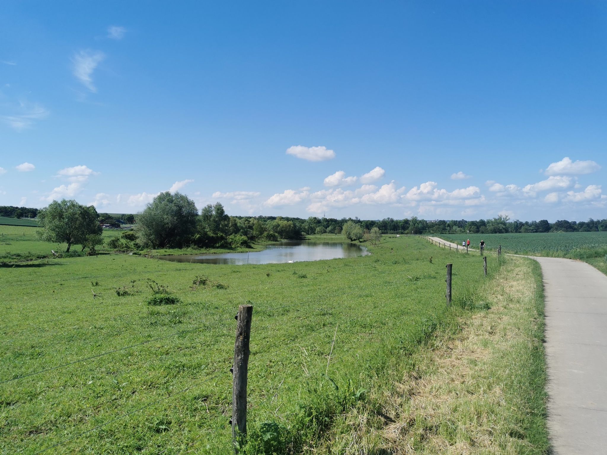 Kurz vor Nieder-Olm