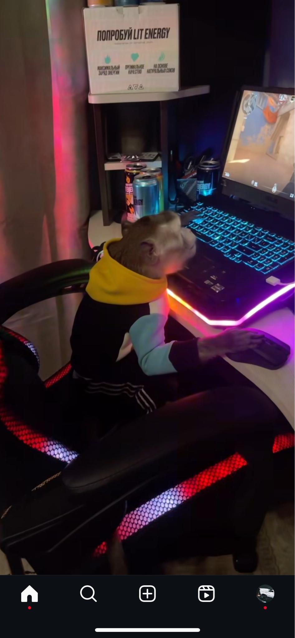 user avatar
